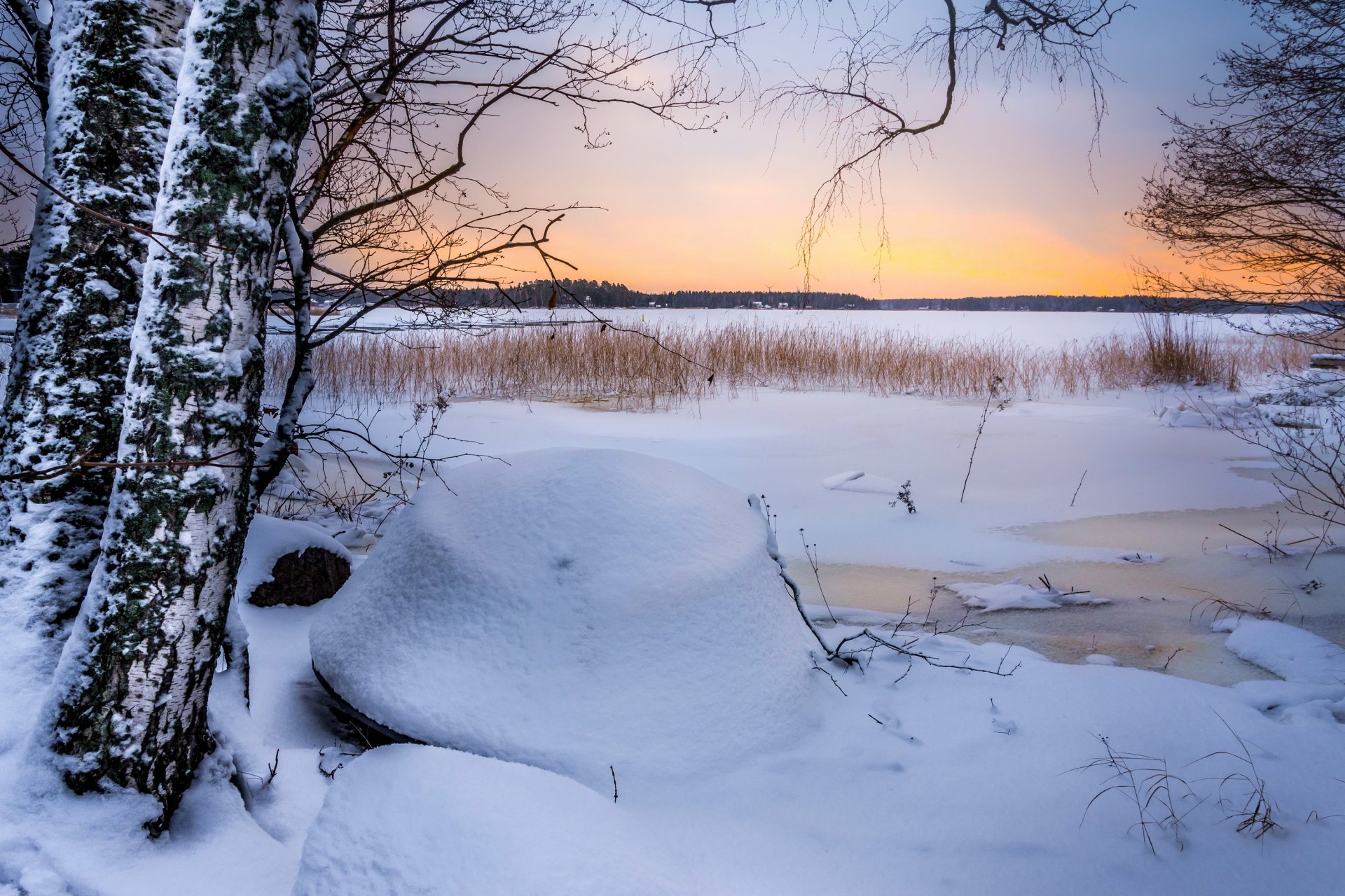 alberi campo inverno neve ghiaccio tramonto