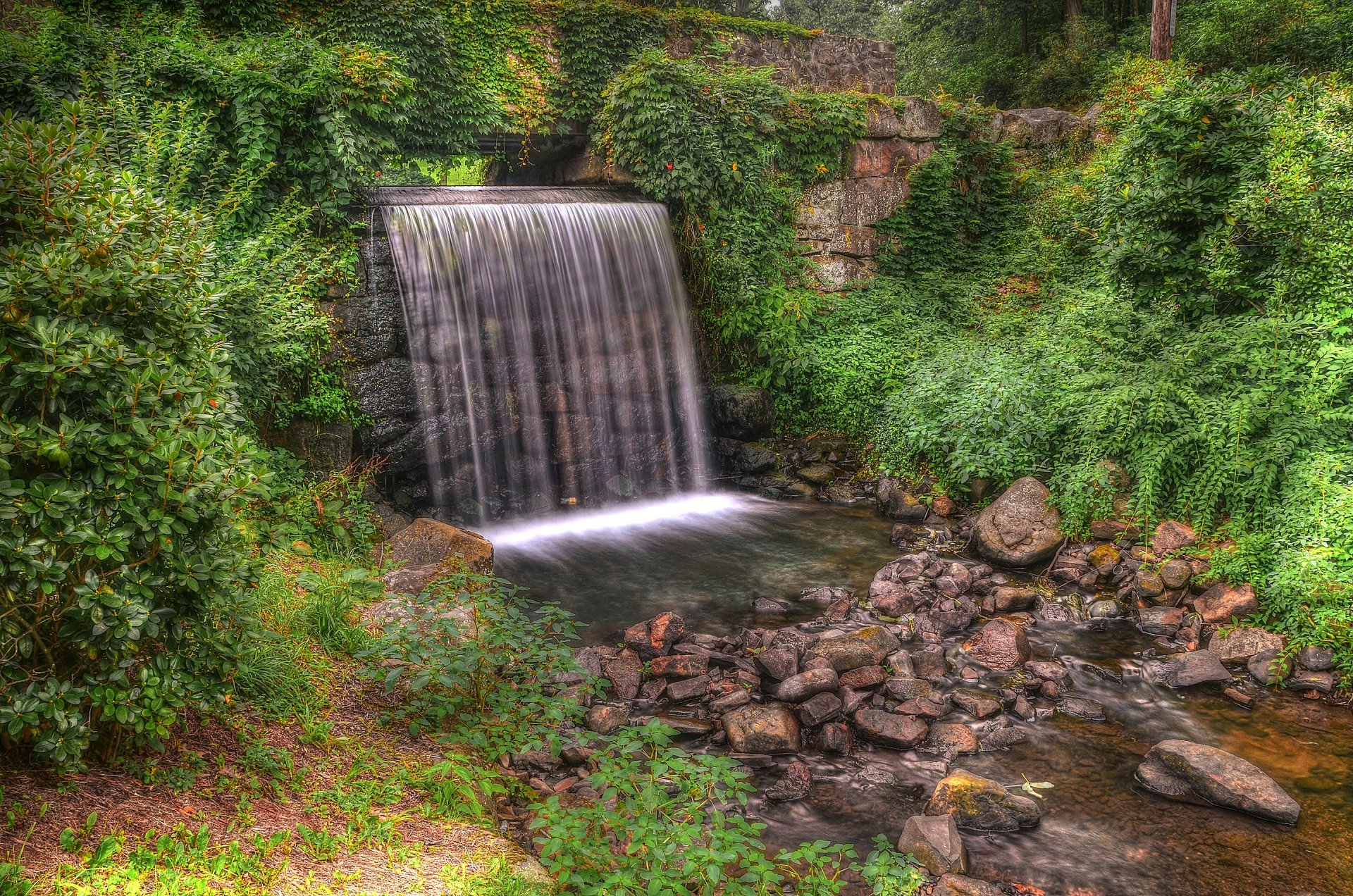 парк лес деревья поток водопад камни hdr