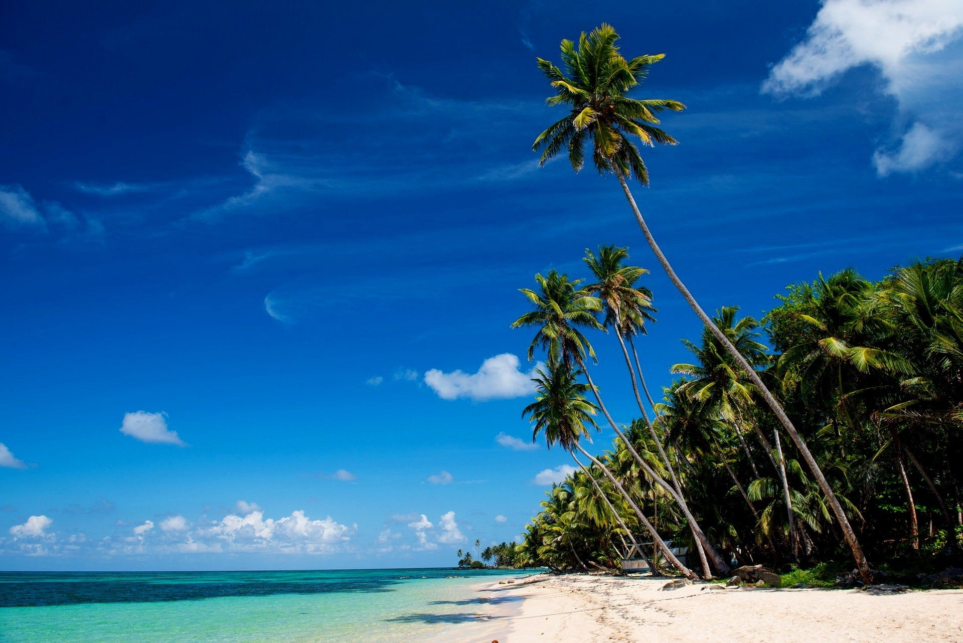 little corn island sea tropics beach sand palm