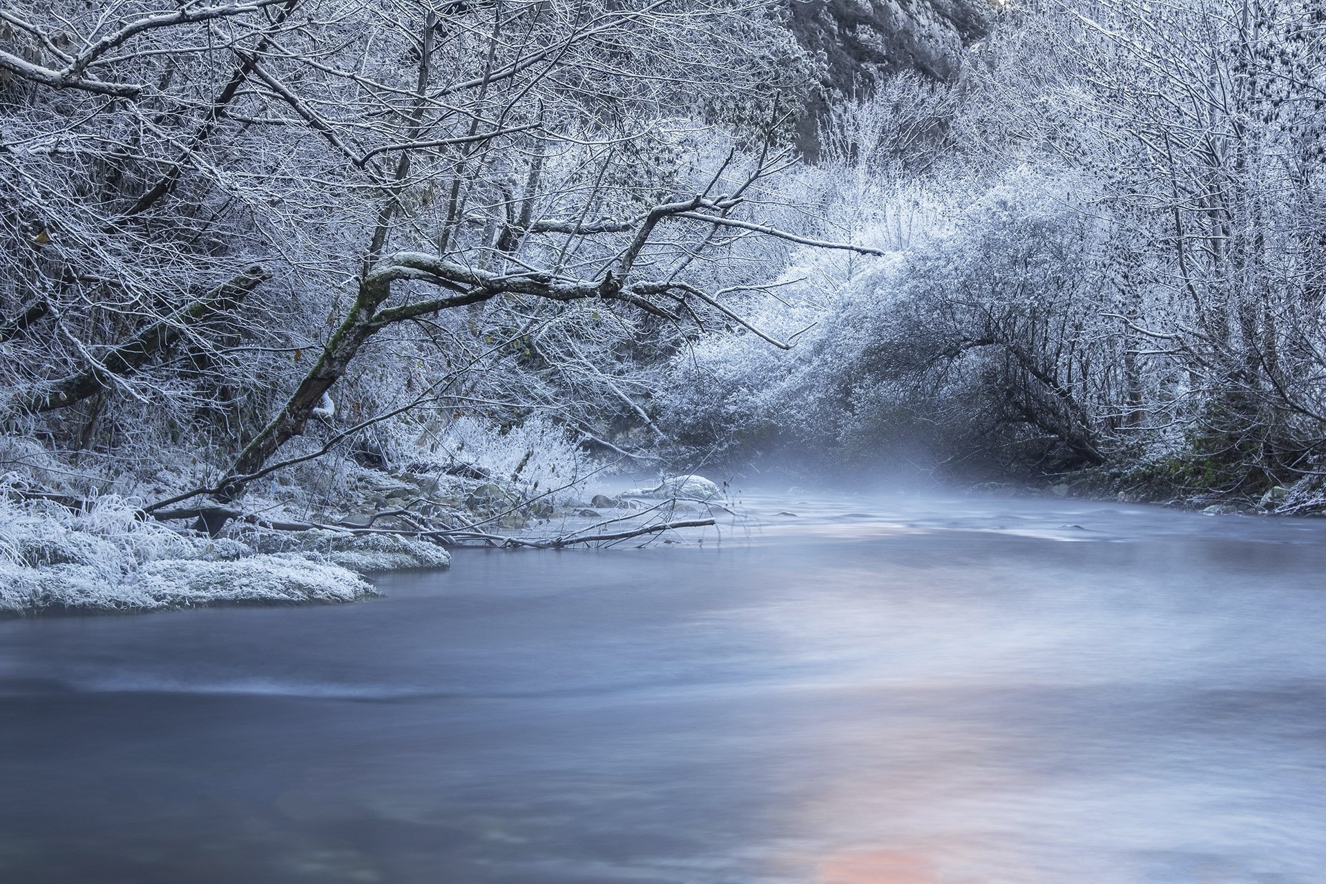 hiver rivière arbres forêt neige