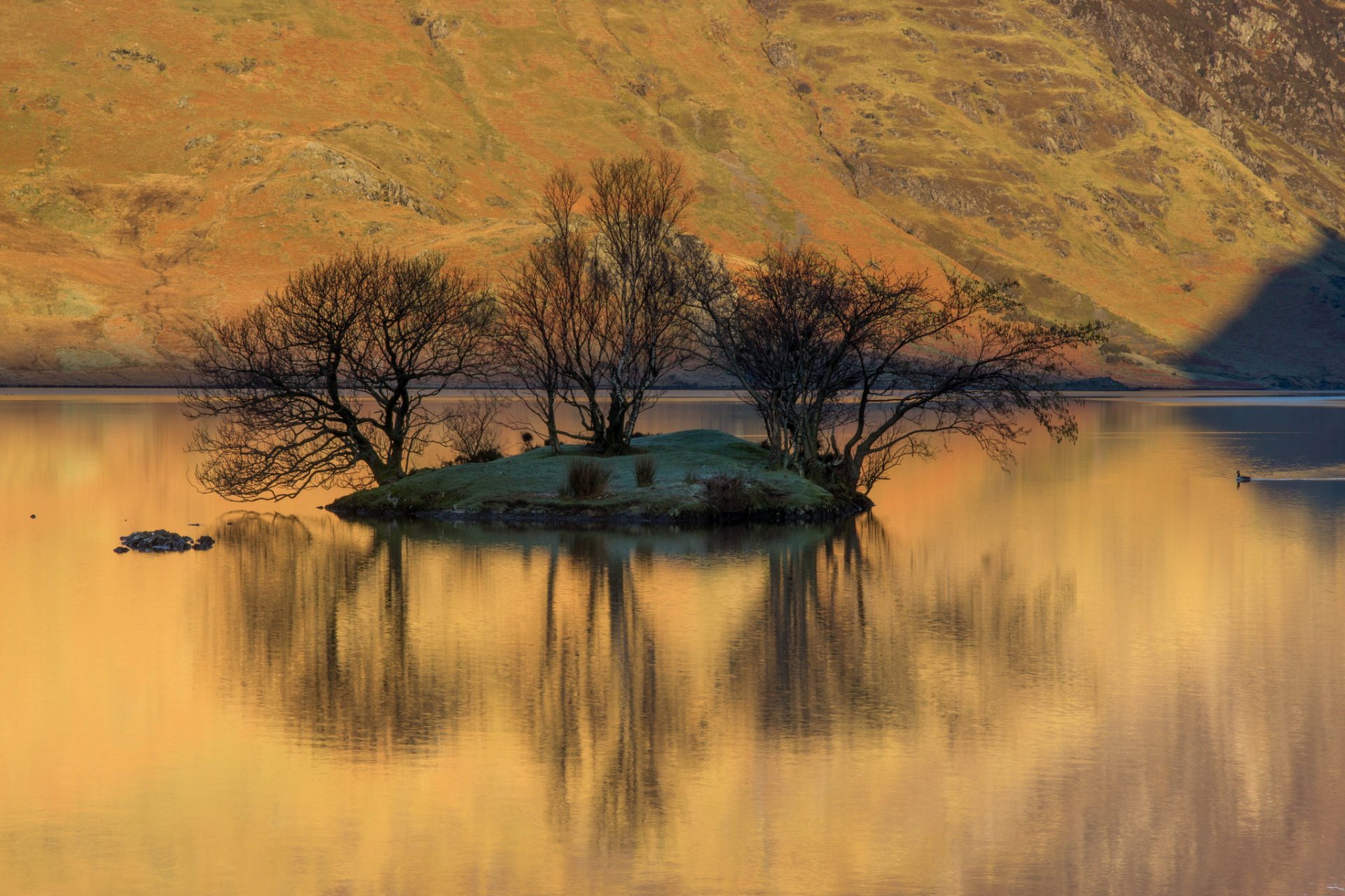 berg hang see insel bäume reflexion