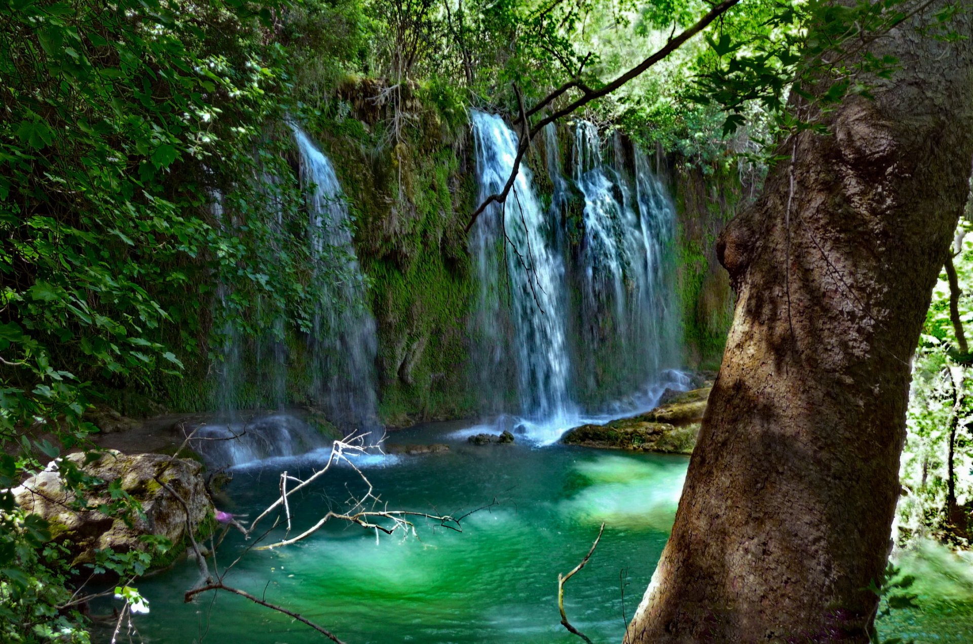 turkey antalya waterfall kurshunlu kursunlu waterfall nature park tree branches leaves green stones moss water