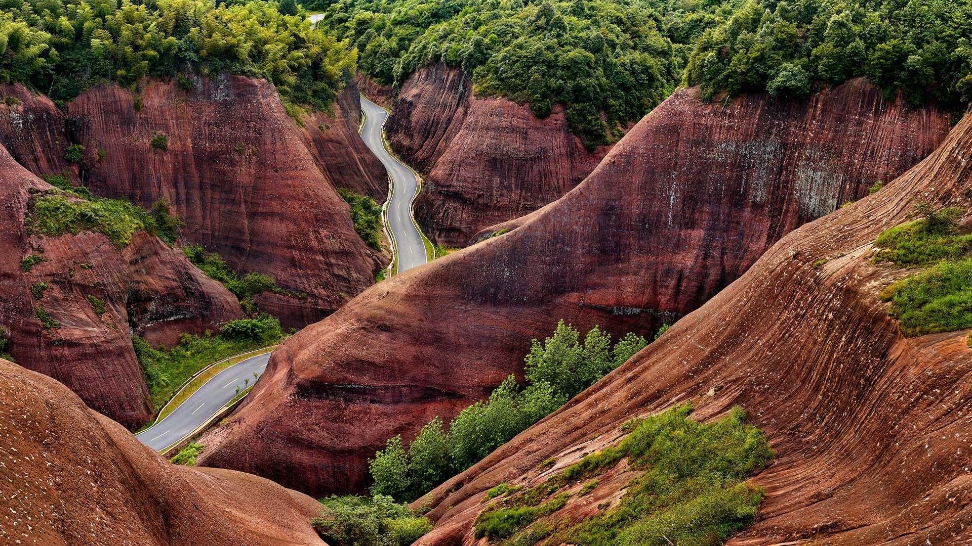 chine collines arbres route