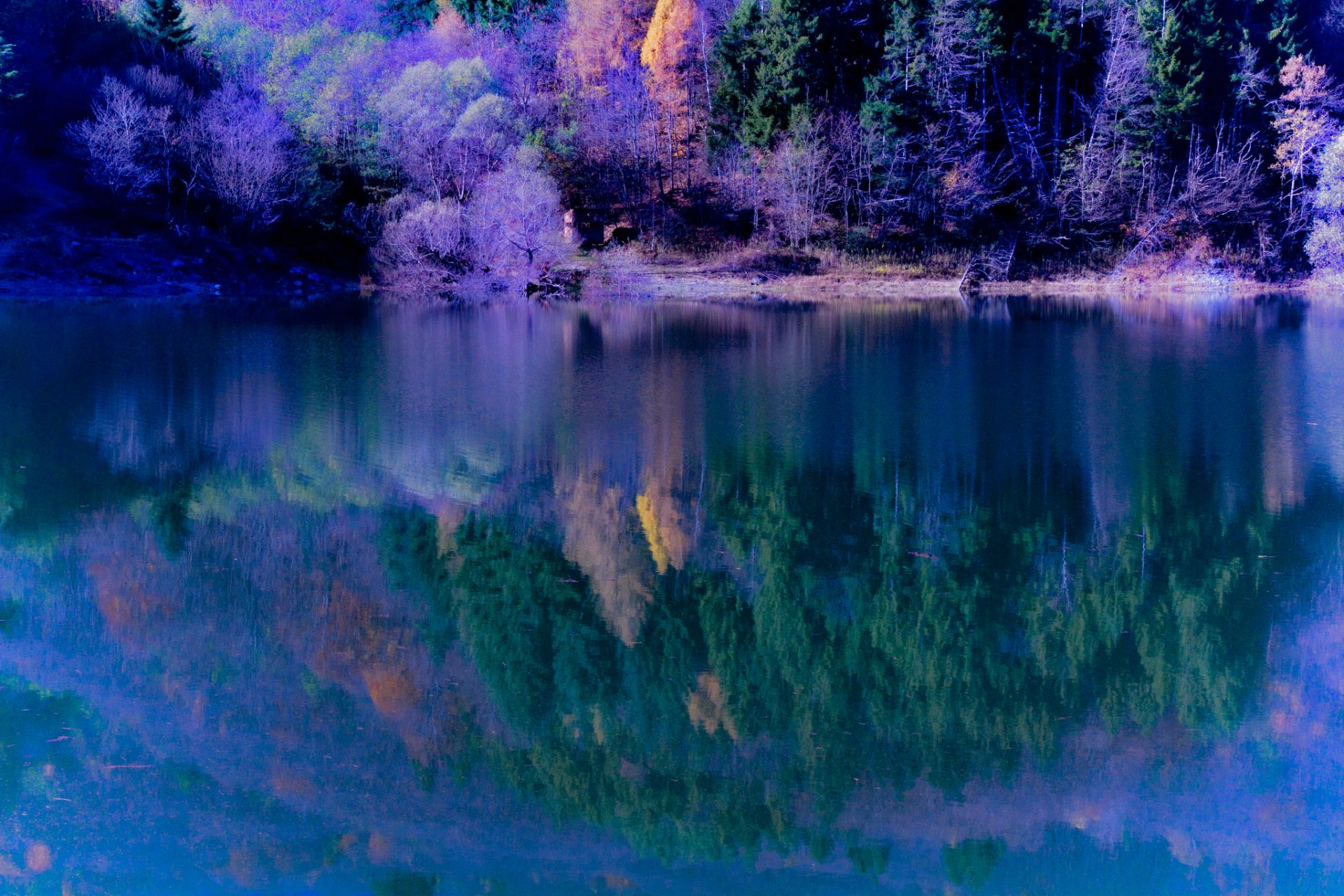 lope forest lake autumn reflection tree