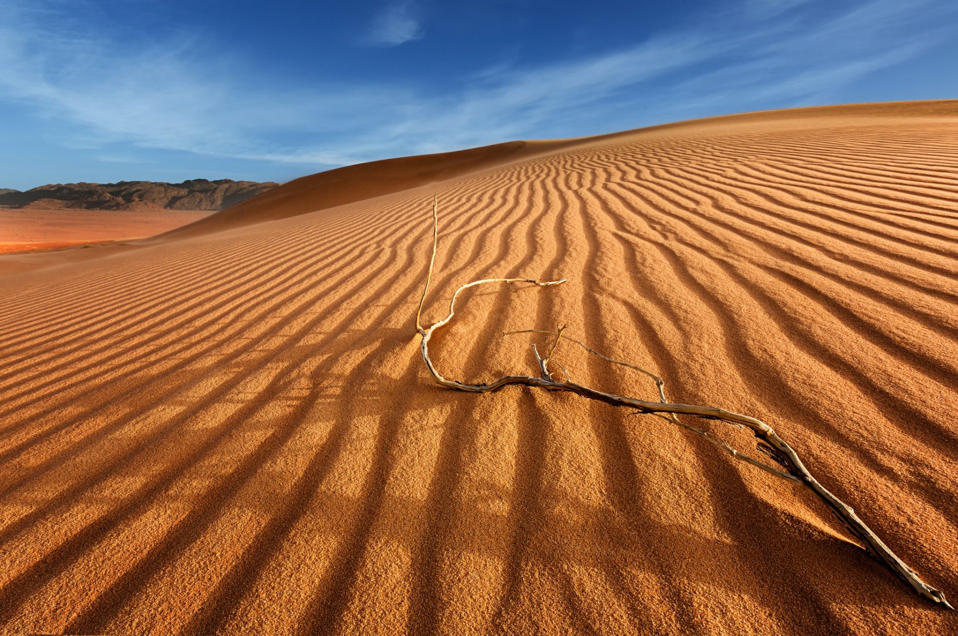 deserto barkhans dune sabbia ramo cielo nuvole