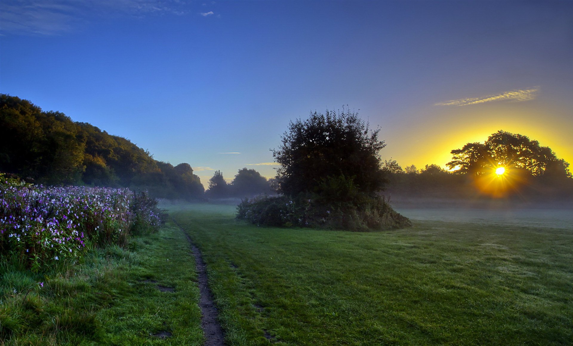 morning fog nature landscape