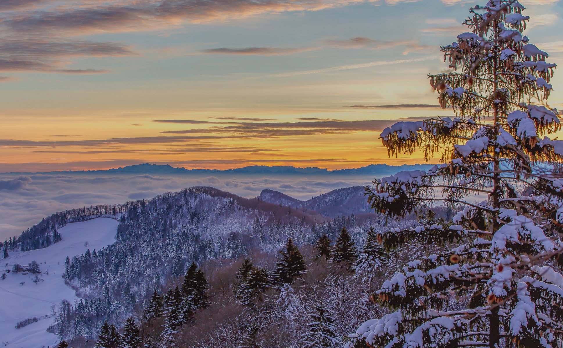 himmel glühen wolken nebel winter bäume berge schnee fichte