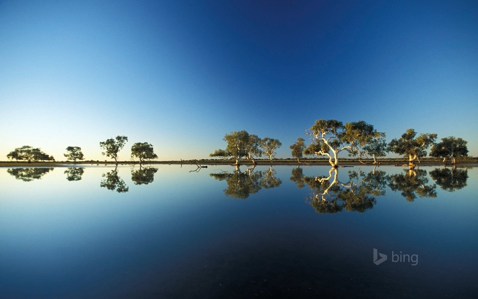 eau ciel arbres australie déversement réflexion