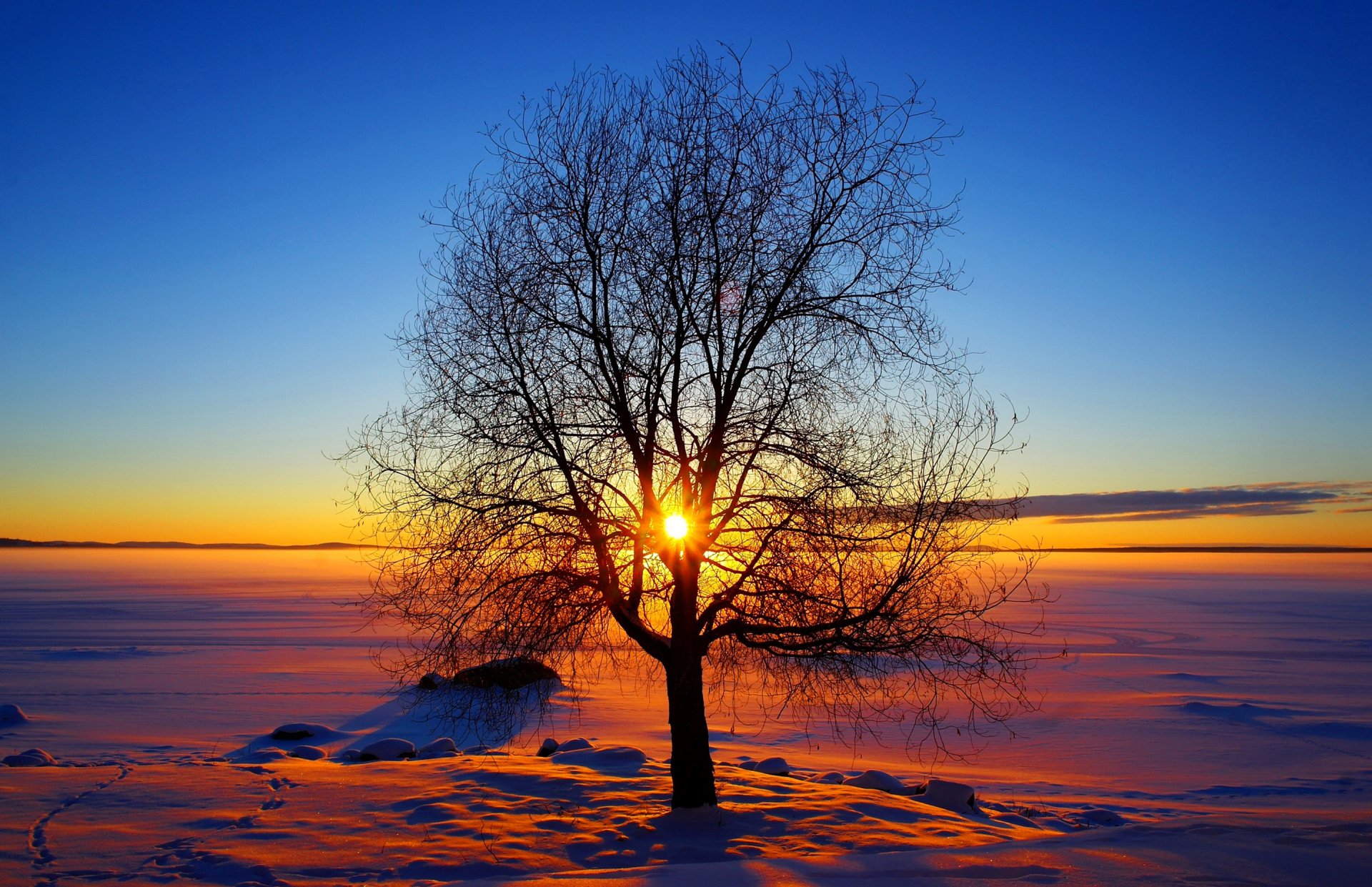 ciel soleil hiver coucher de soleil arbre neige