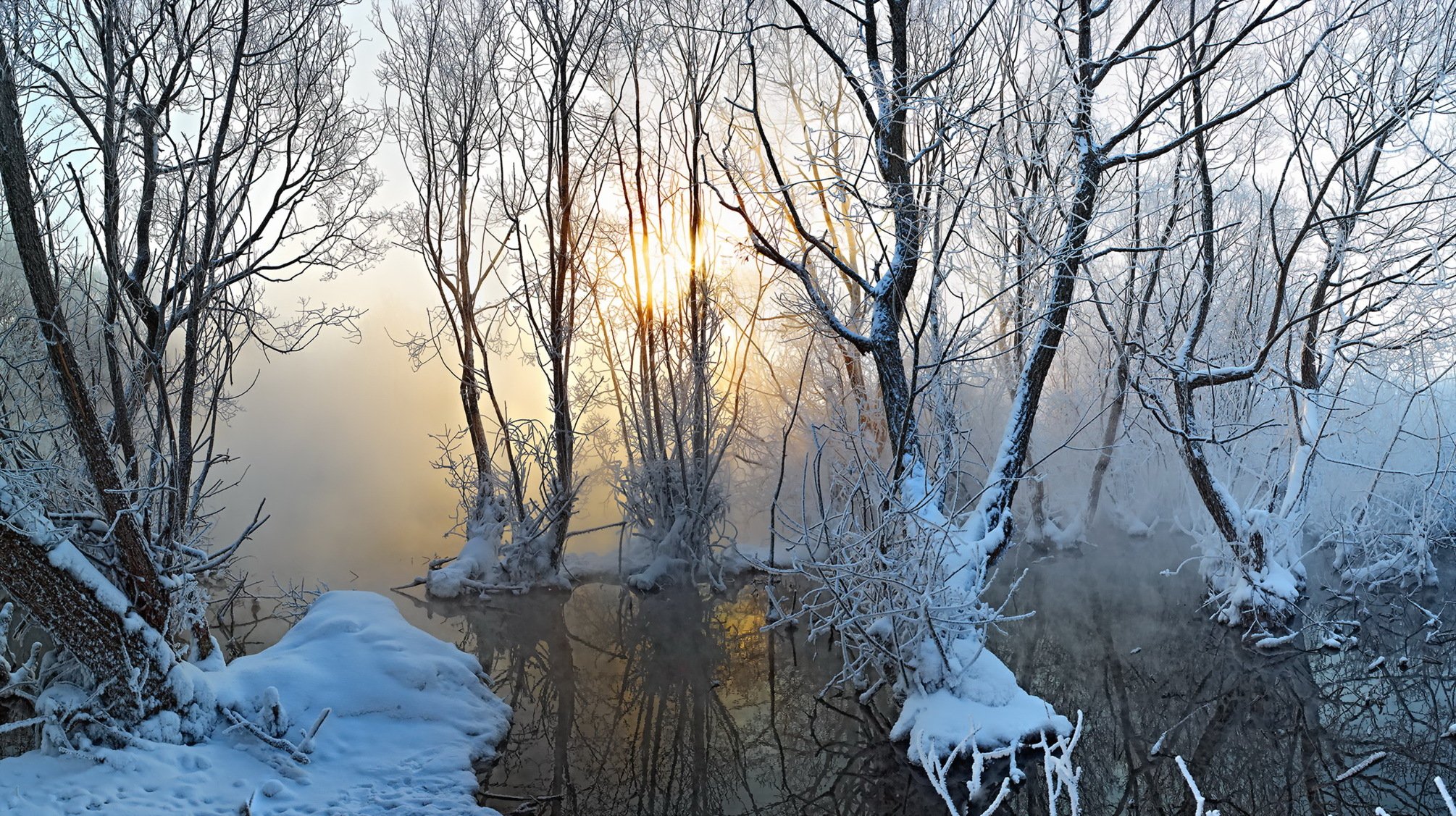 autunno lago neve nebbia