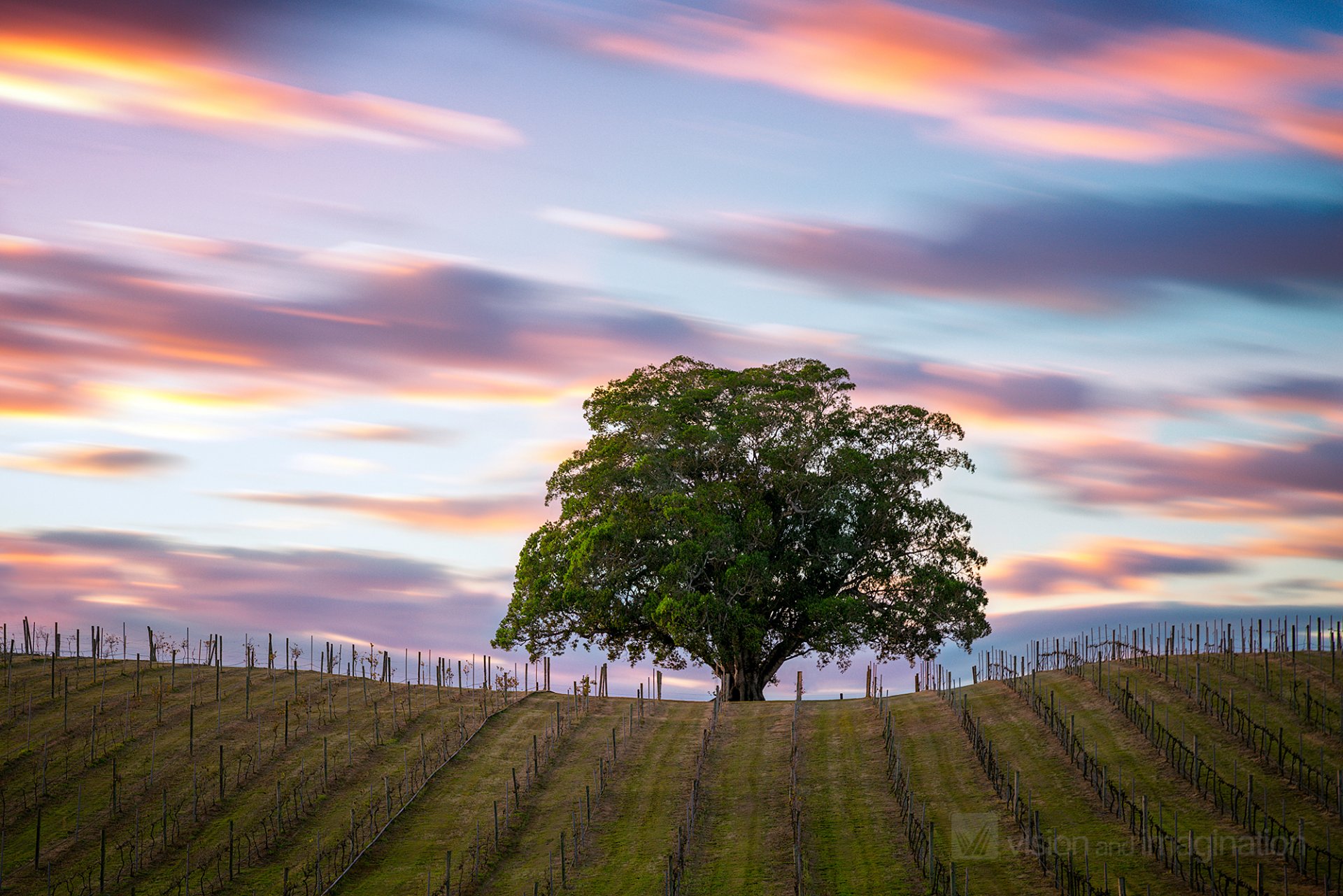 australia the field tree sky clouds extract