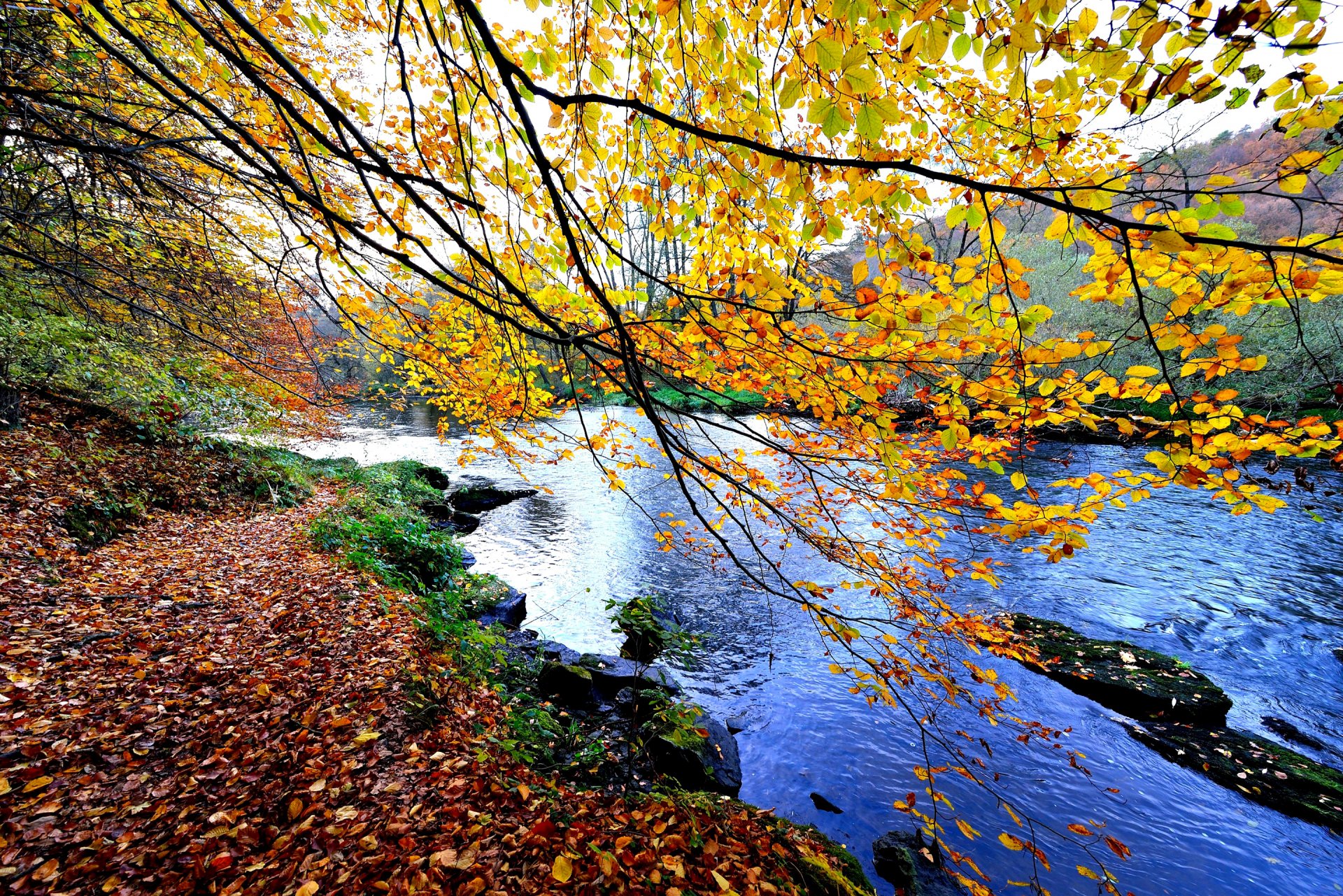 ciel montagnes rivière pierres arbres automne