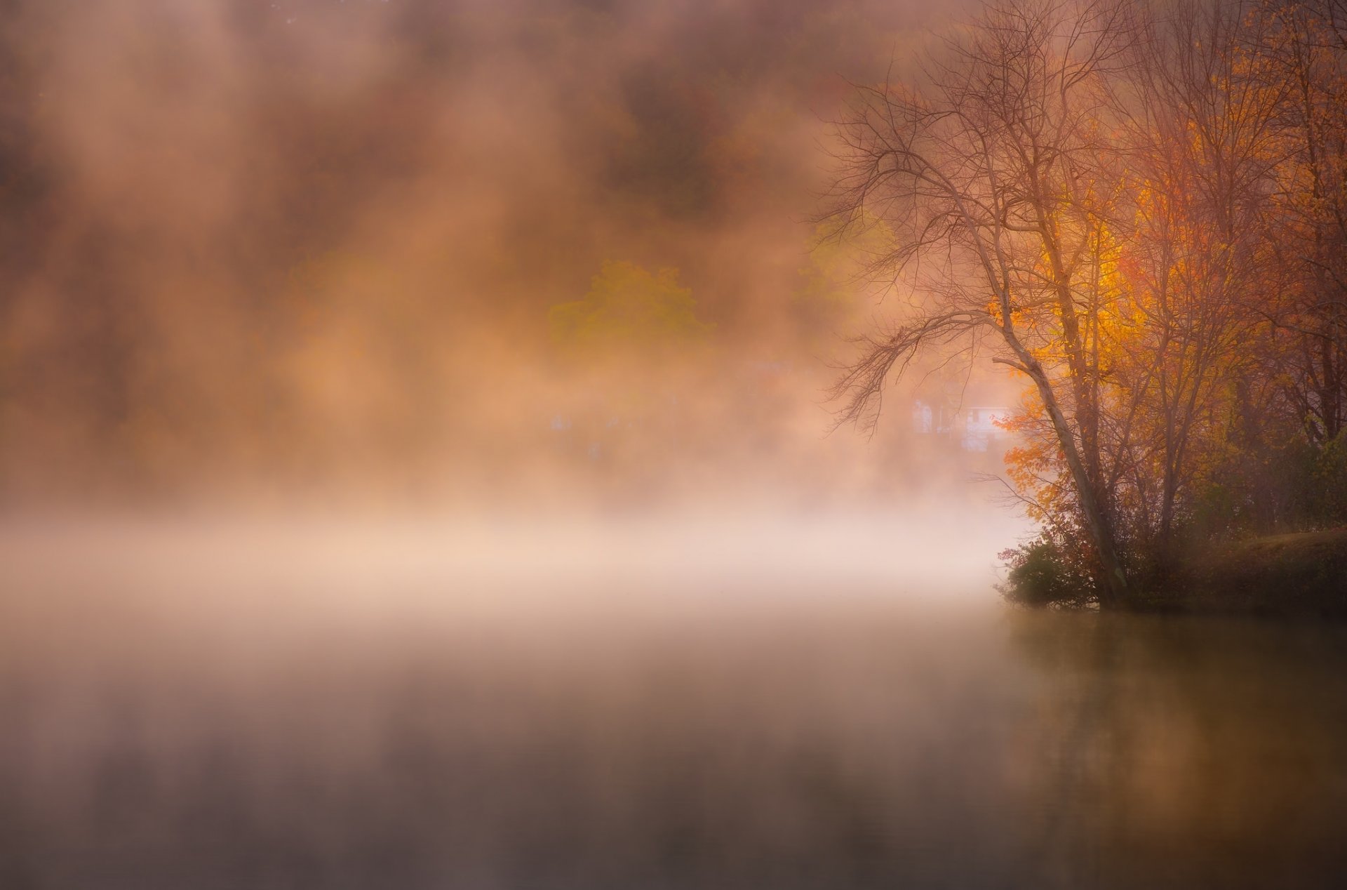 parque lago niebla otoño