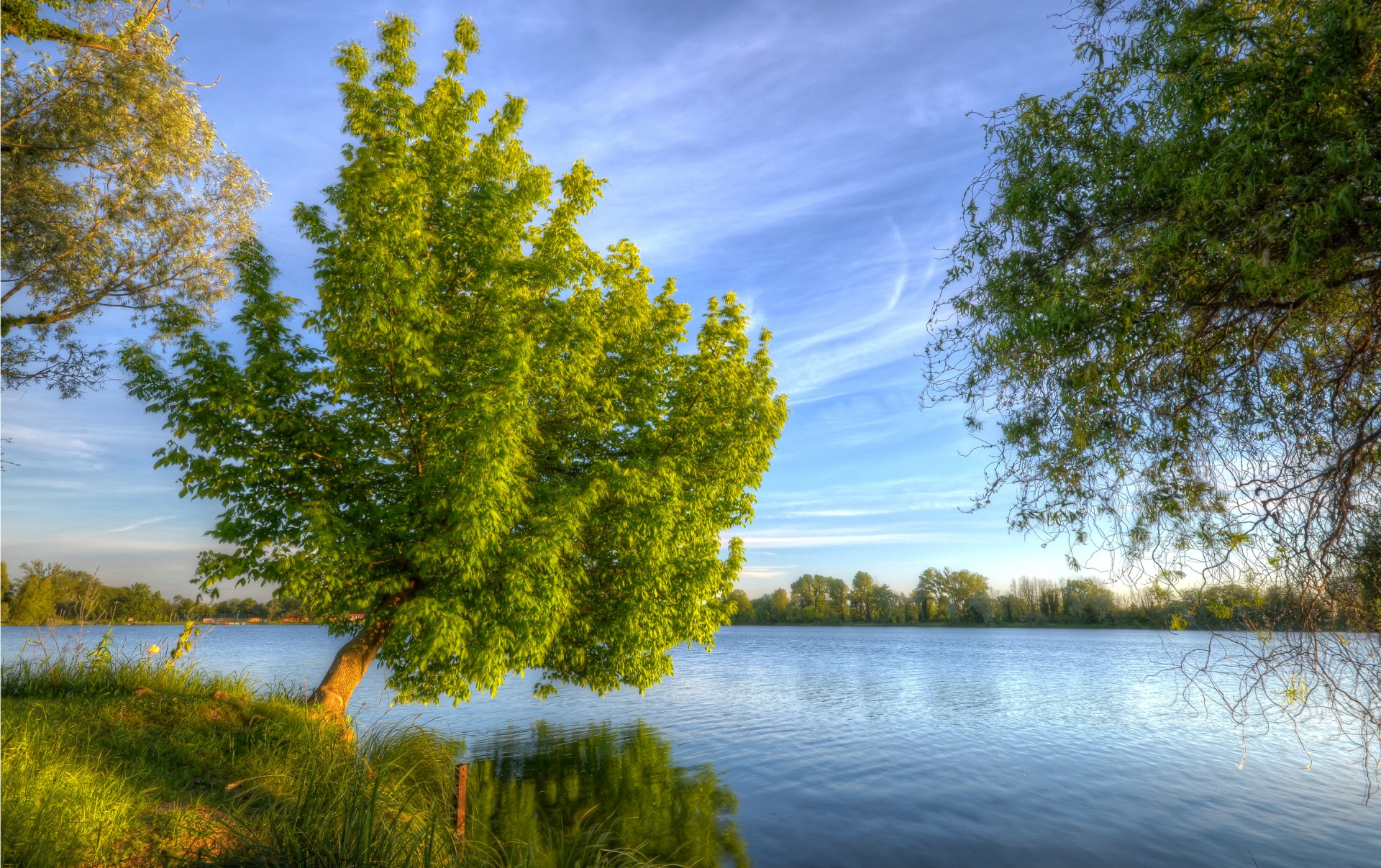 ky clouds river tree grass landscape