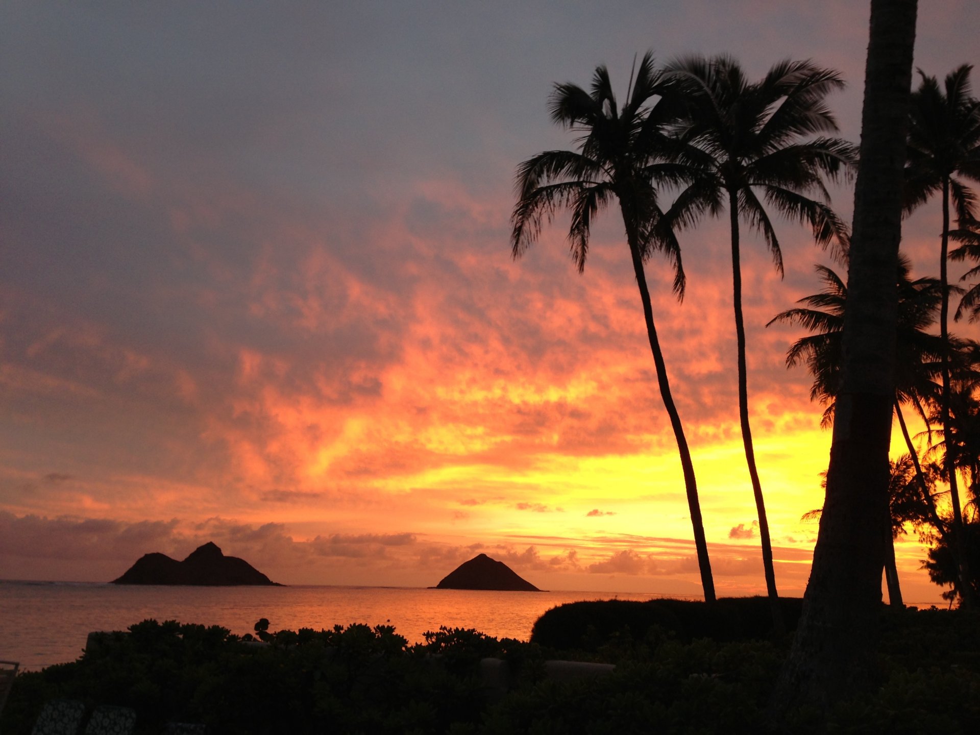 meer palmen sonnenuntergang landschaft natur