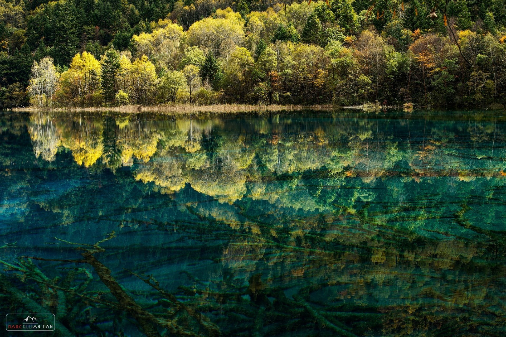 lago bosque agua limpio fondo árboles naturaleza