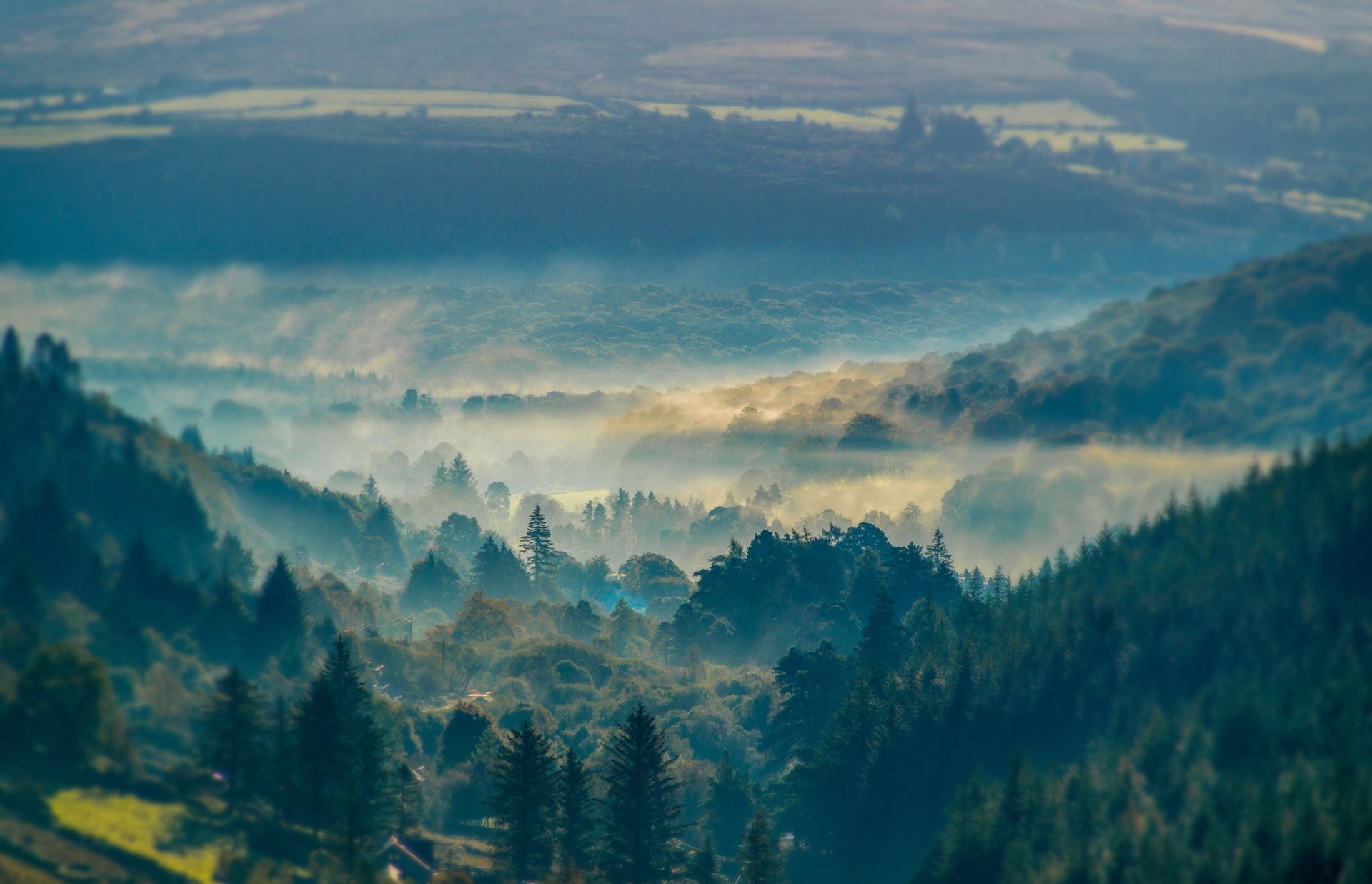 berge hügel bäume nebel dunst