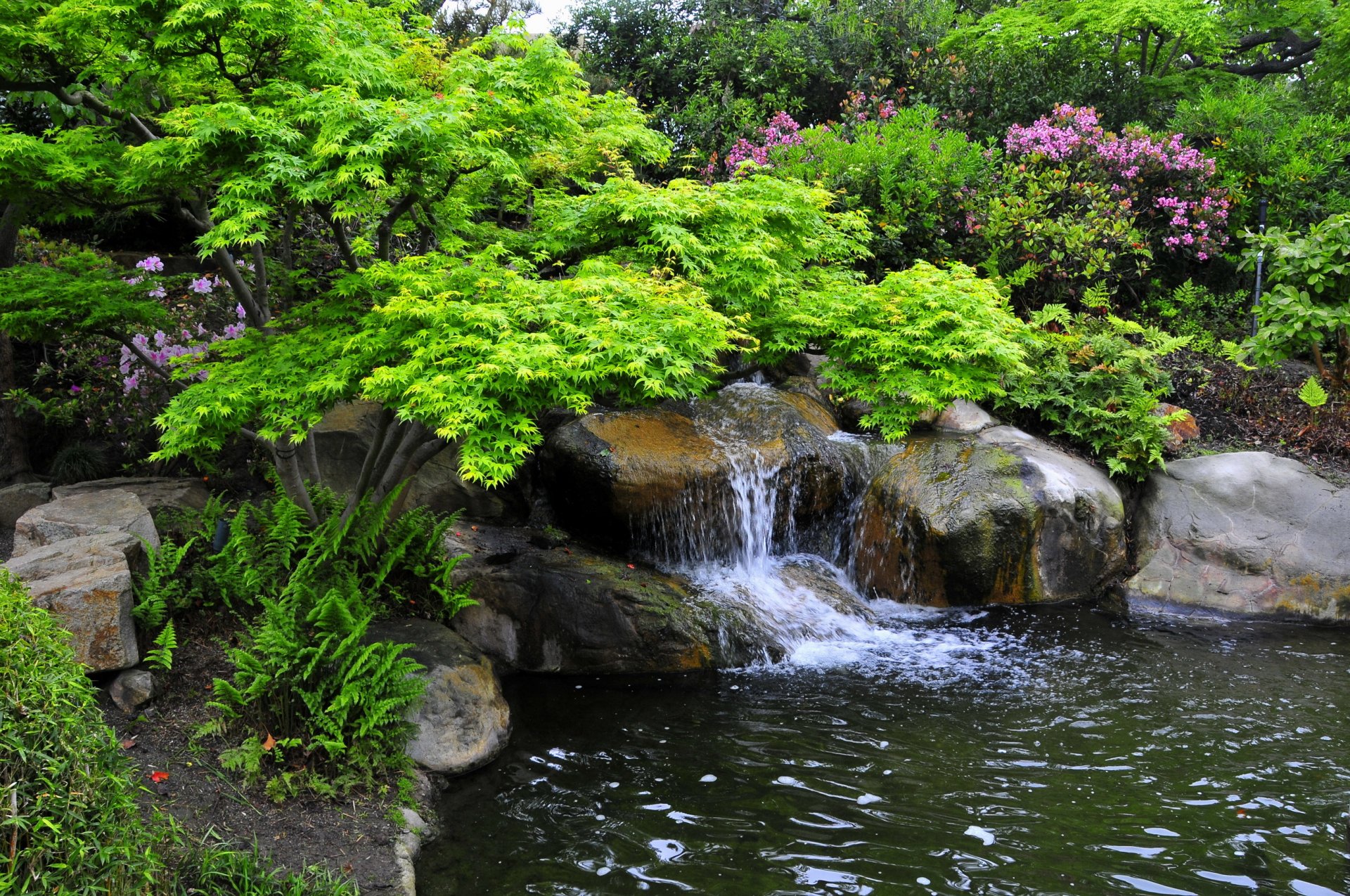 california miller japanese garden supplies bush stones ruchey.vodopad