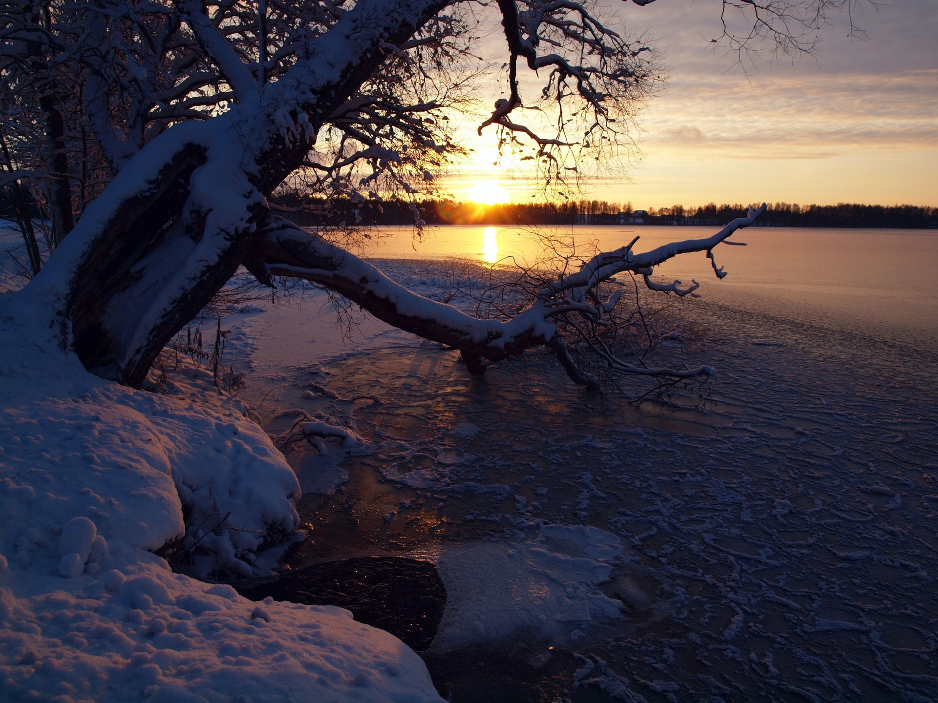 cielo puesta de sol invierno río nieve árbol