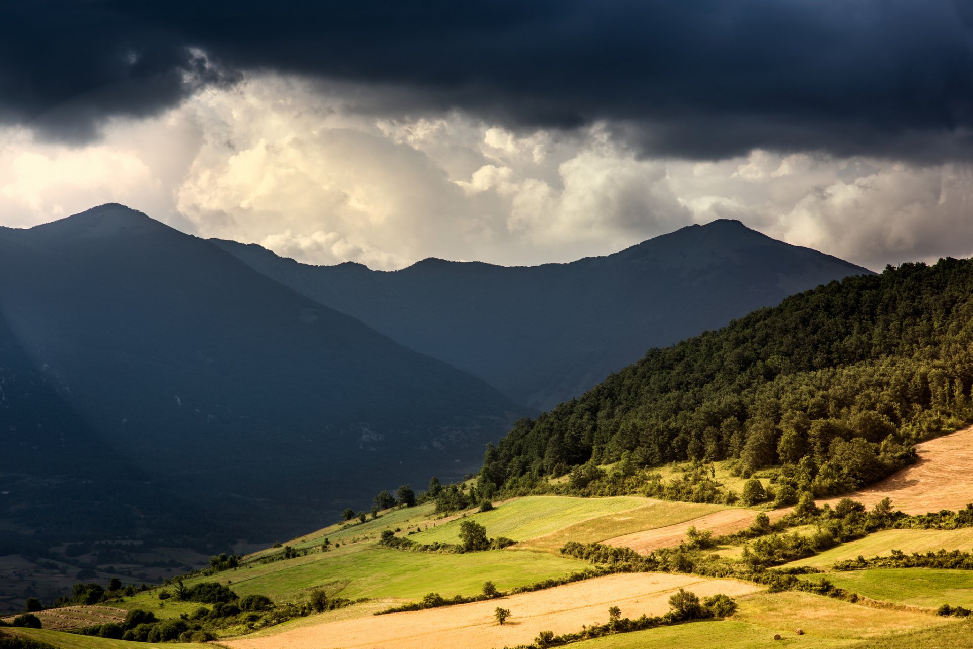 berge tal wald wolken