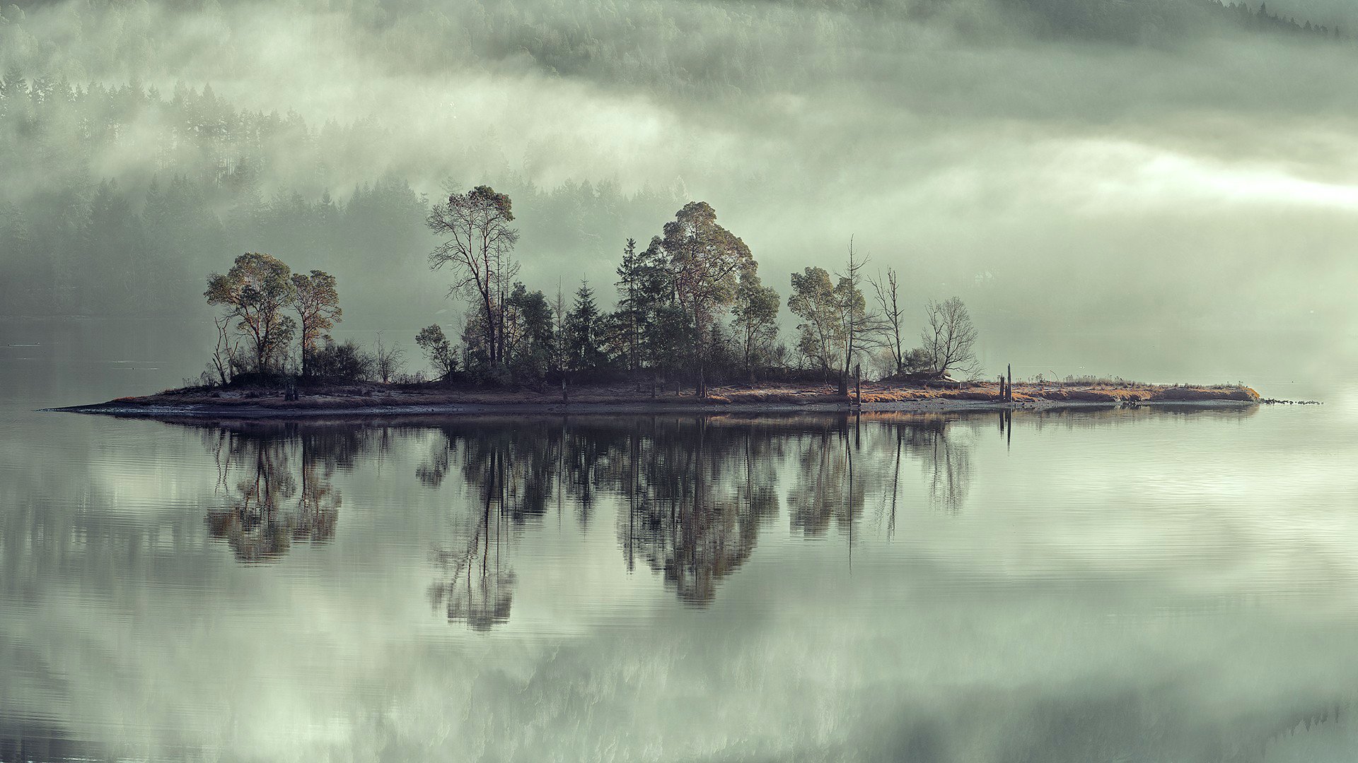 ciel brouillard île lac rivière arbres