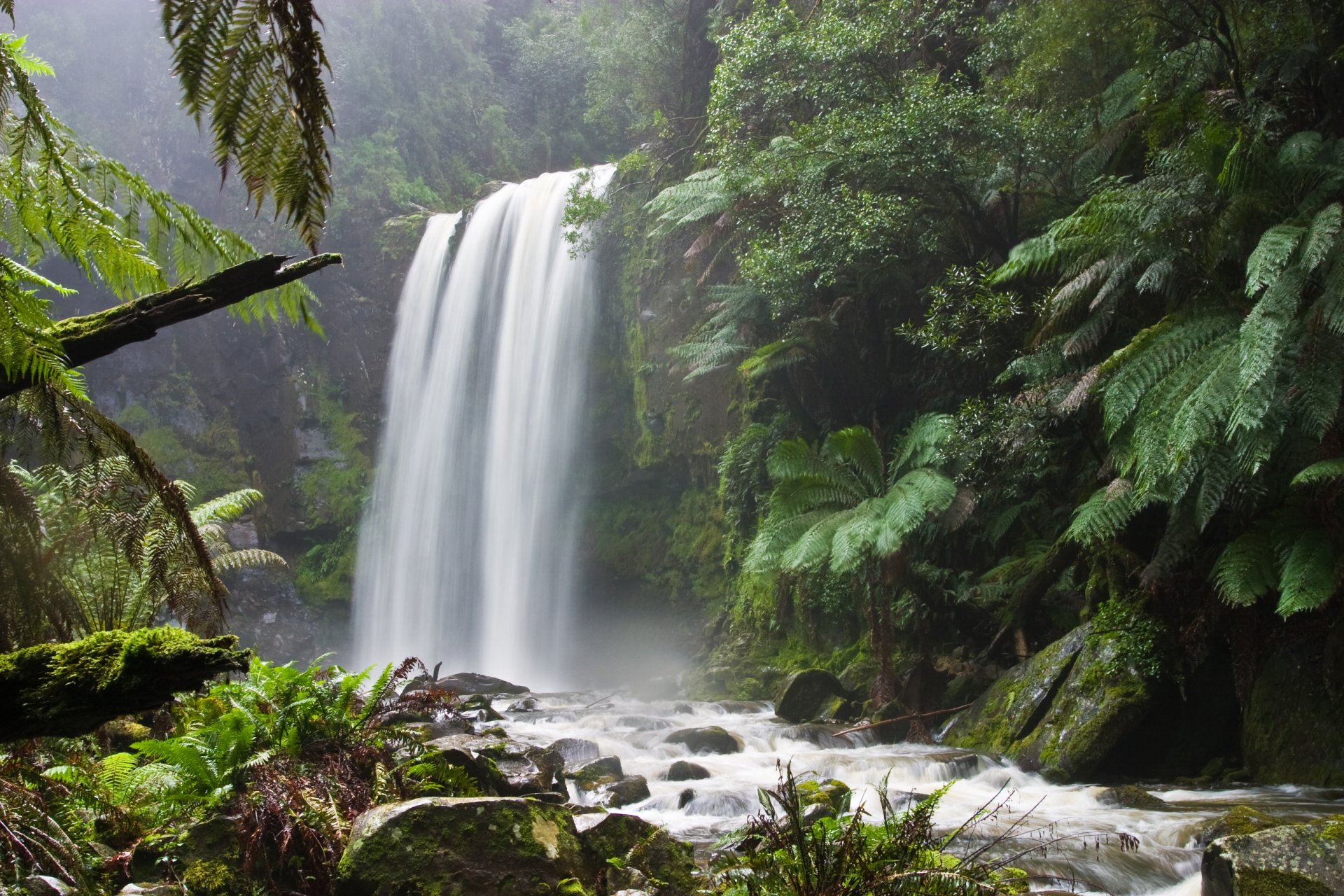 mountain river forest waterfall nature