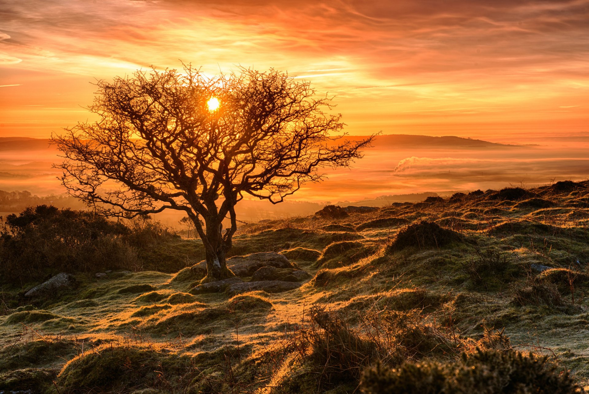 ciel soleil coucher de soleil automne pente arbre givre