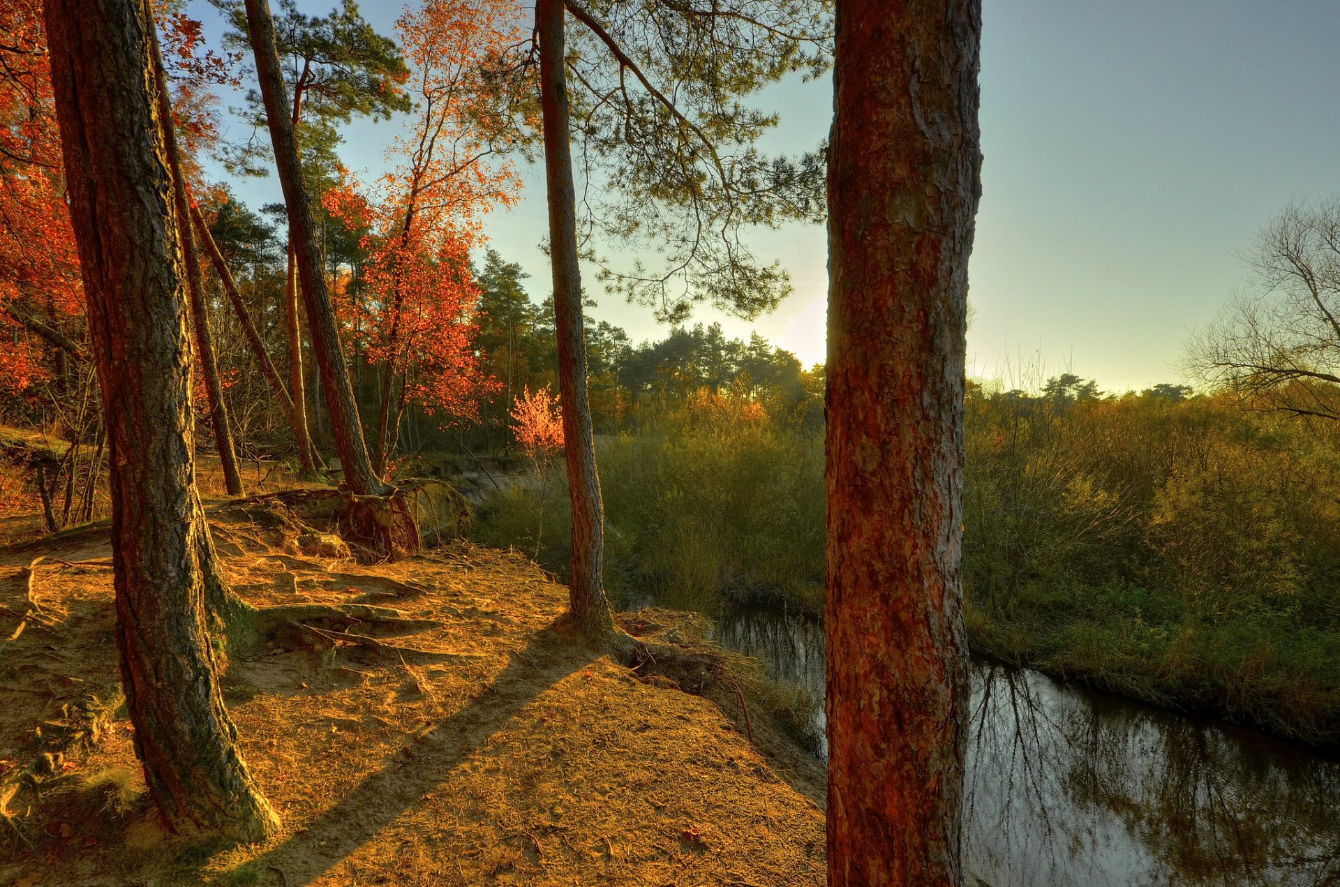 ky forest broken sunset river creek tree autumn