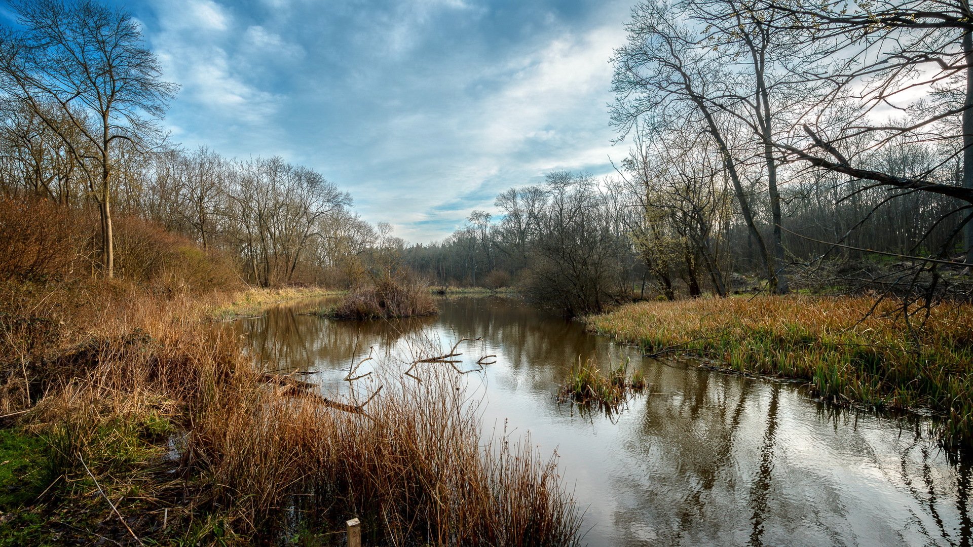 río primavera naturaleza