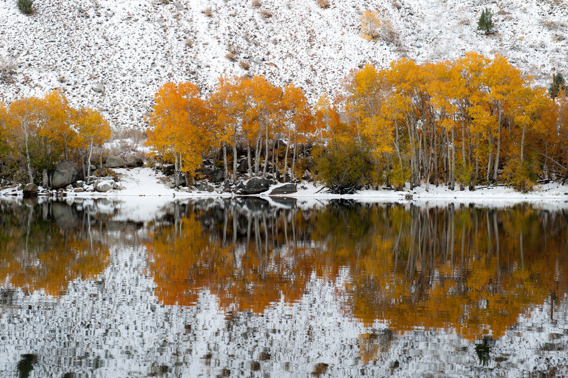 pendiente nieve otoño lago reflexión árboles