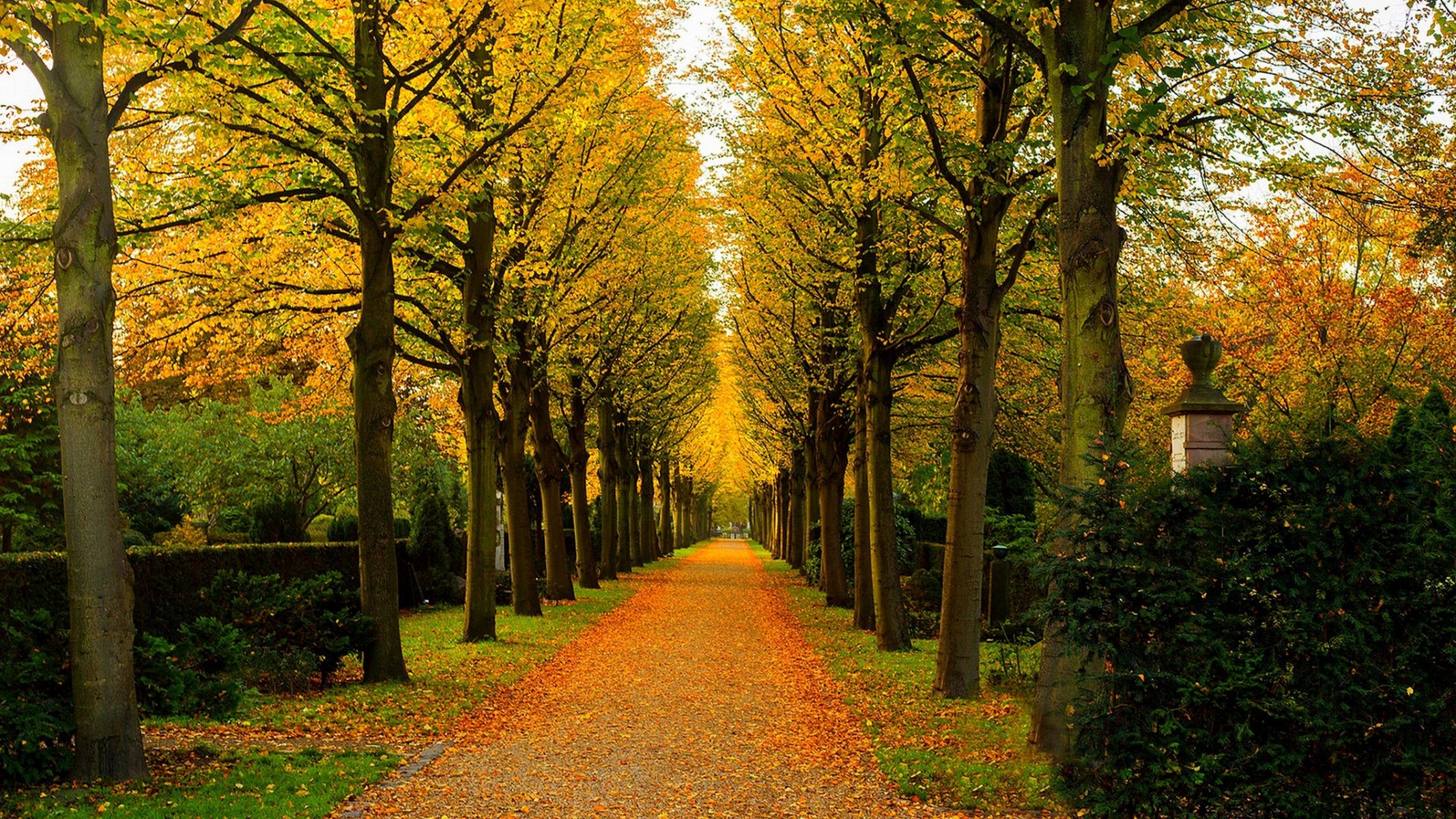 naturaleza bosque parque árboles hojas colorido camino otoño caída colores paseo