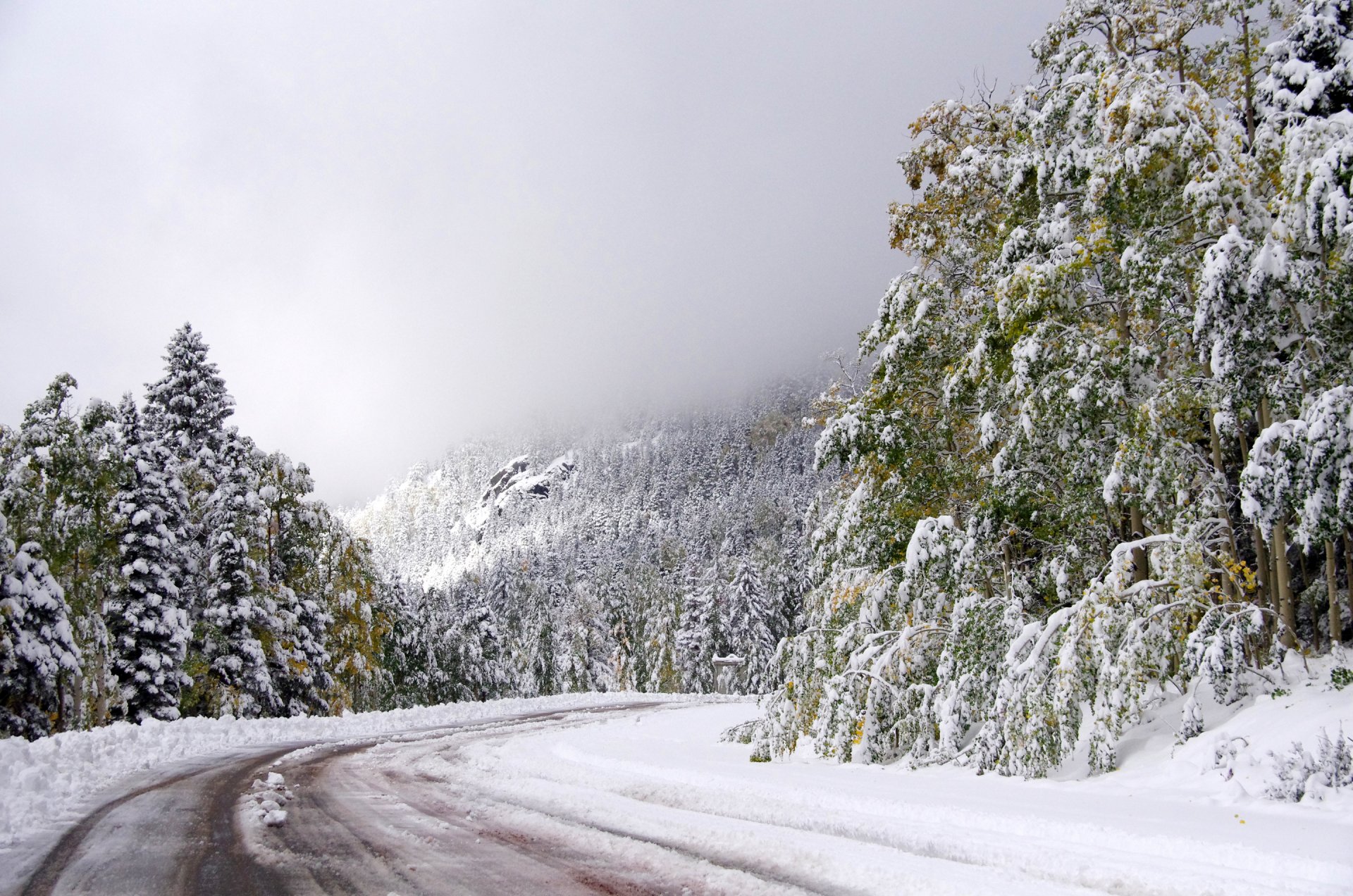 cielo carretera invierno nieve árboles vuelta