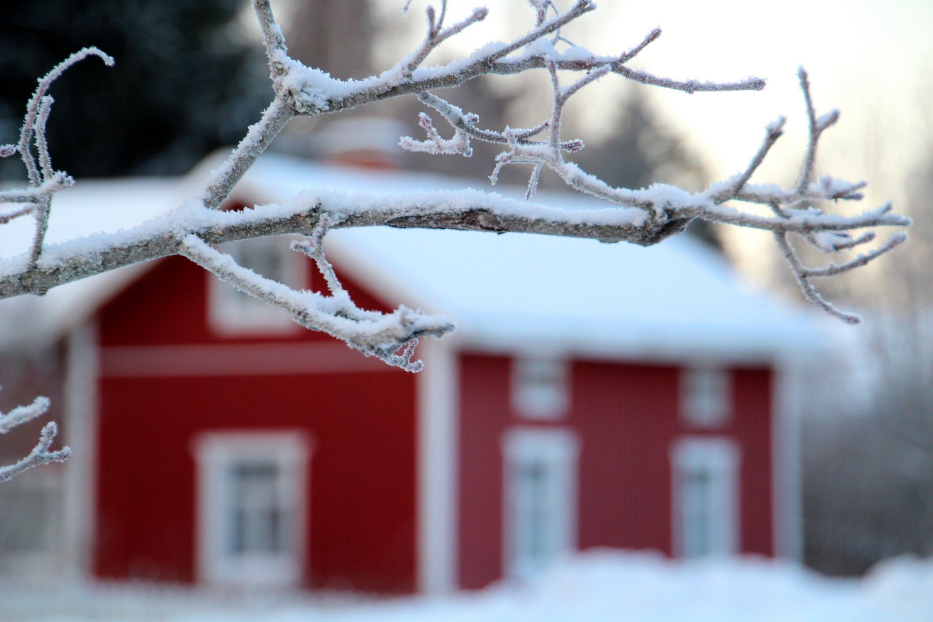 nature maison arbre hiver neige paysage