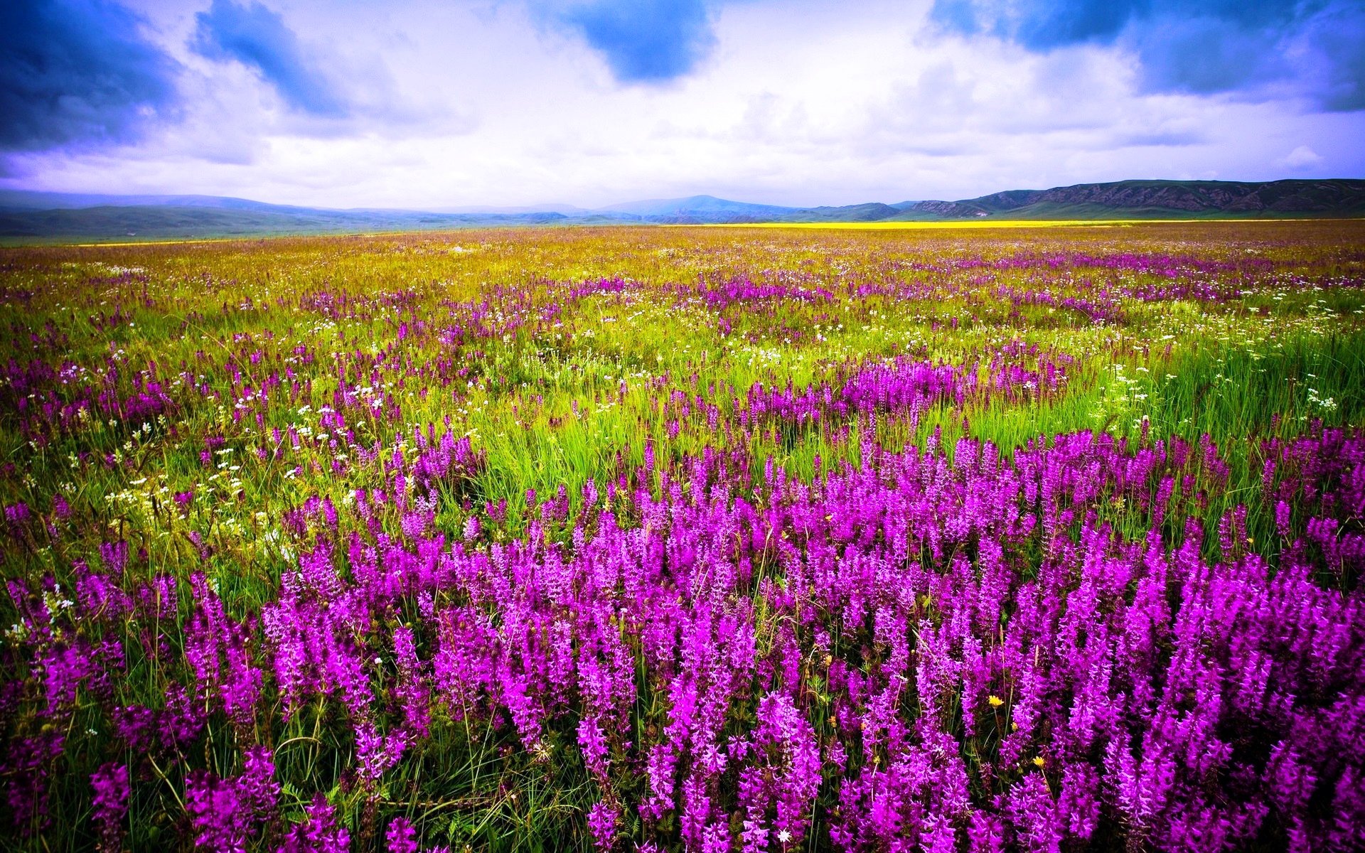 ciel nuages montagnes pré fleurs