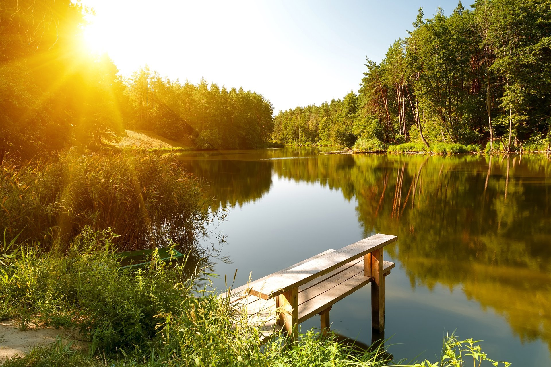 ummer river forest sun landscape