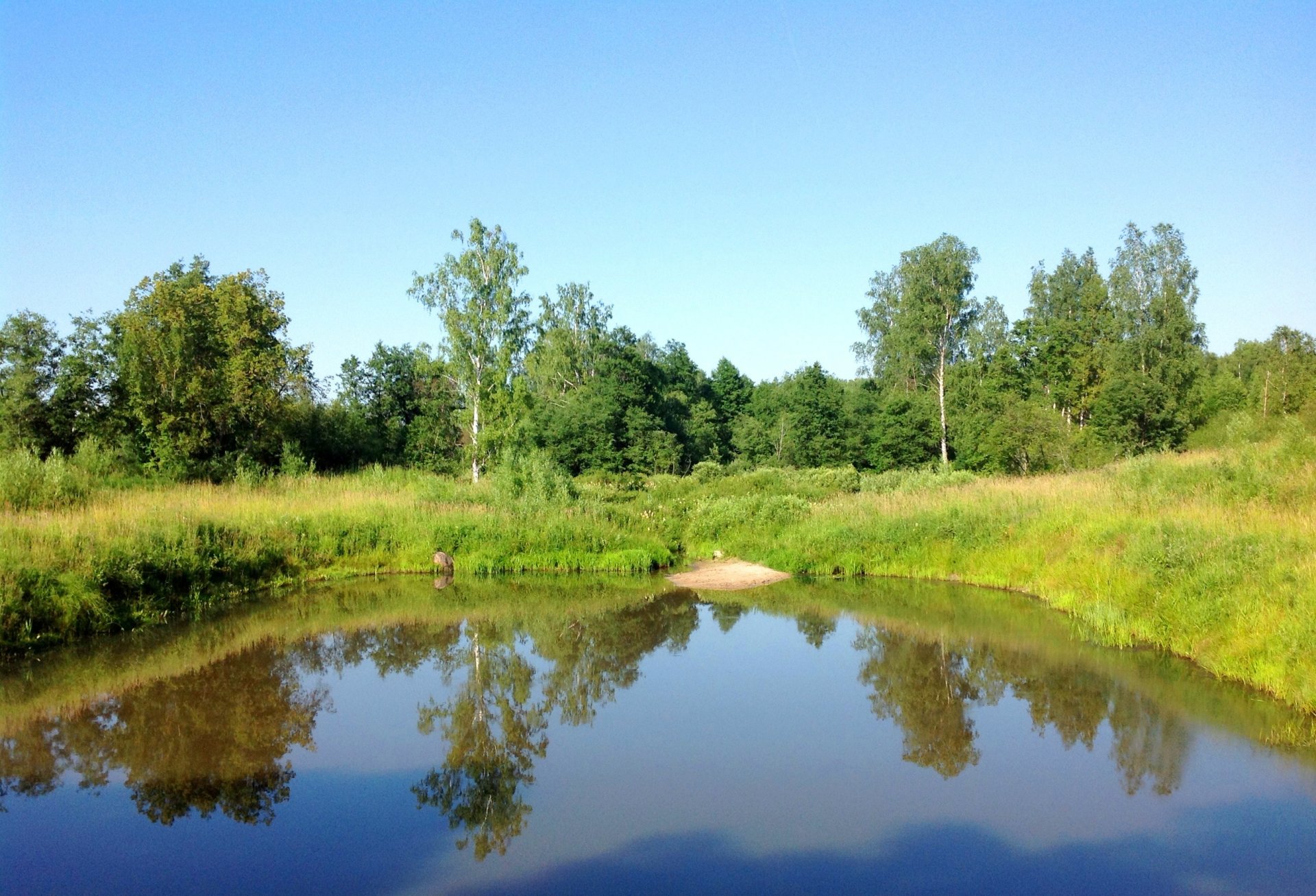 été étang rivage herbe arbres ciel