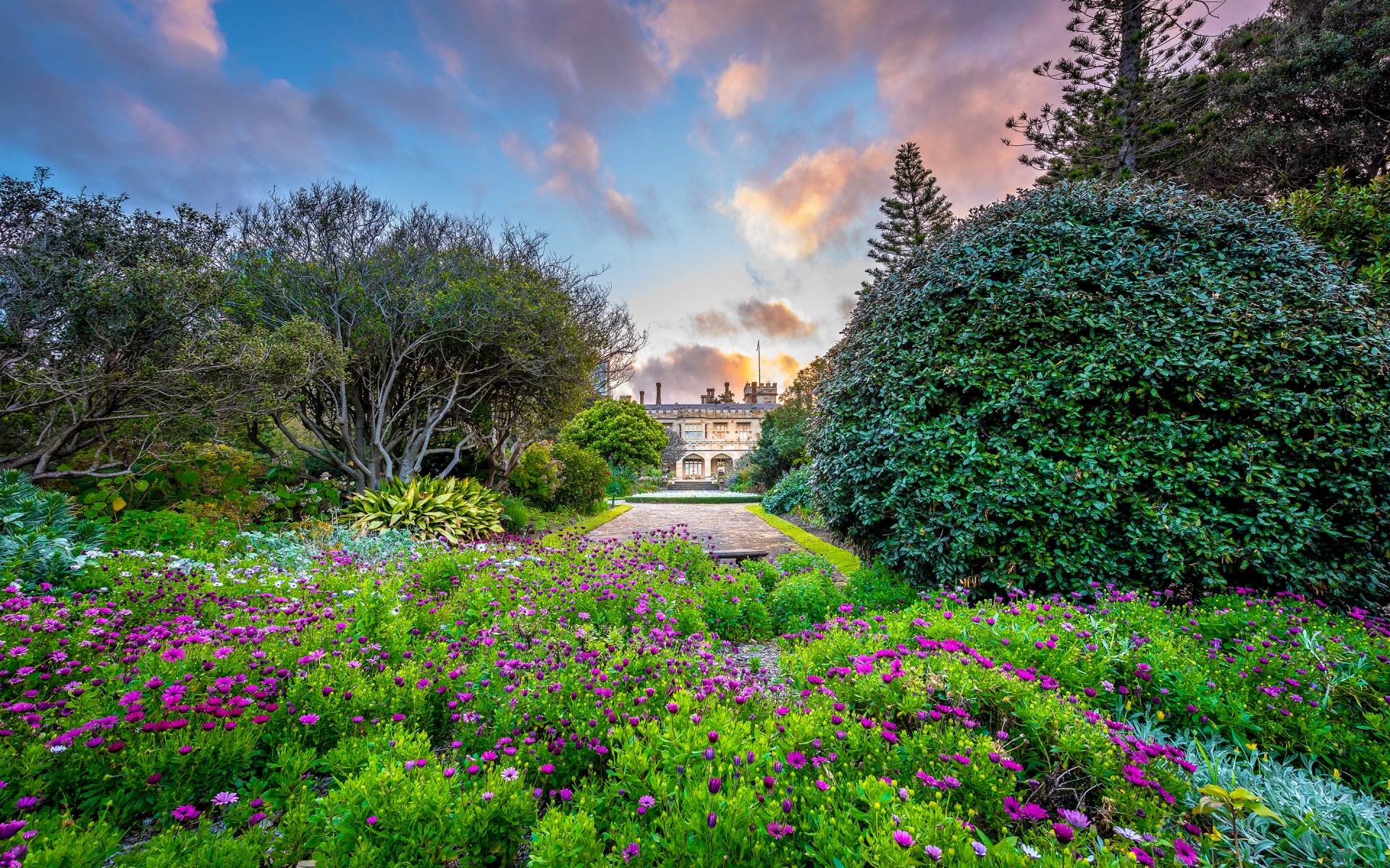 government house sydney royal botanic garden giardino natura edificio