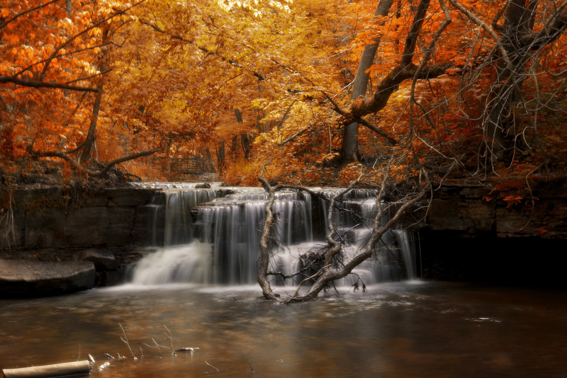 autunno foresta fiume cascata