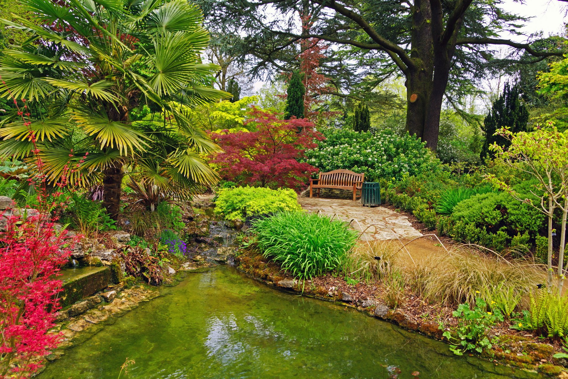 jardín inglaterra estanque palacio de blenheim banco palmeras arbustos naturaleza foto