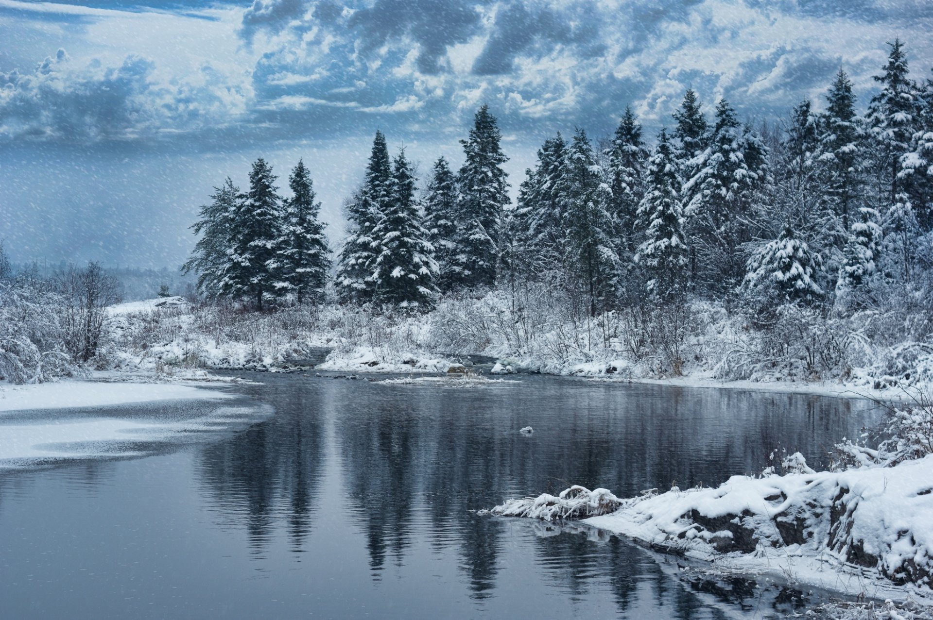 winter snow forest nature tree lake