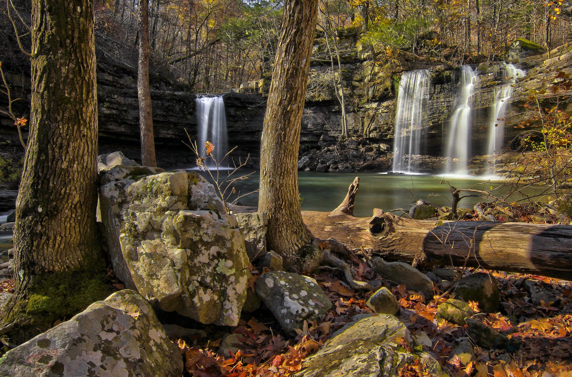 wald bäume felsen steine wasserfall