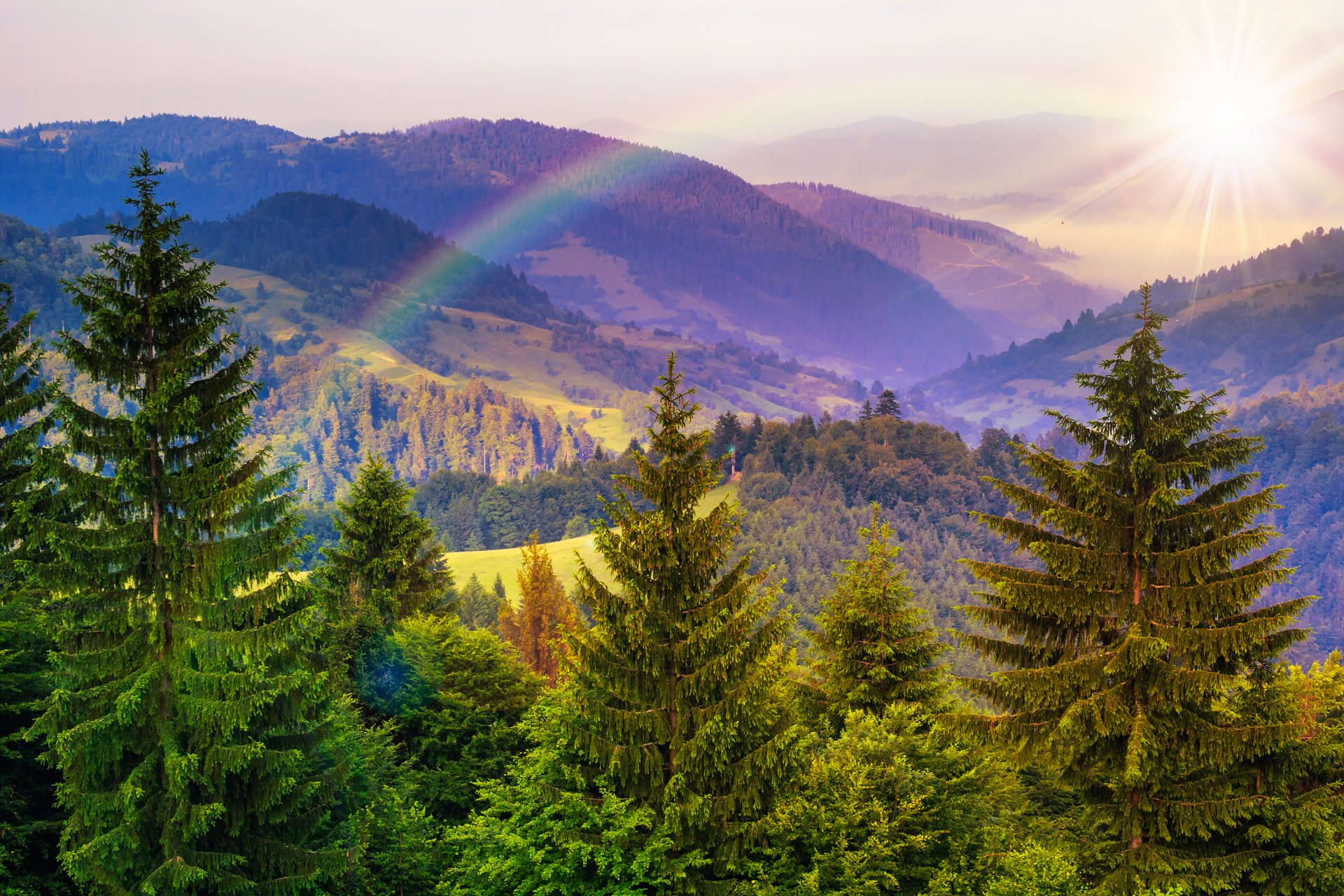 montagnes arbres rayons du soleil arc-en-ciel nature