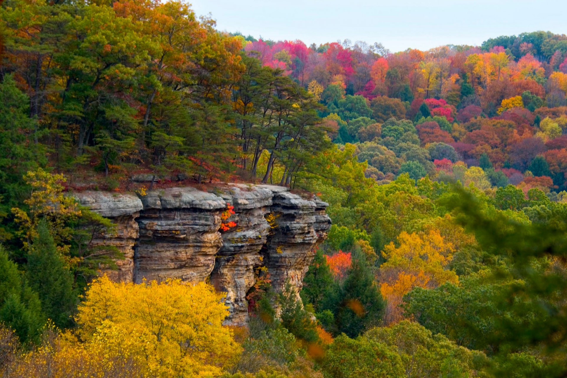 autumn forest plateau purple landscape broken rock