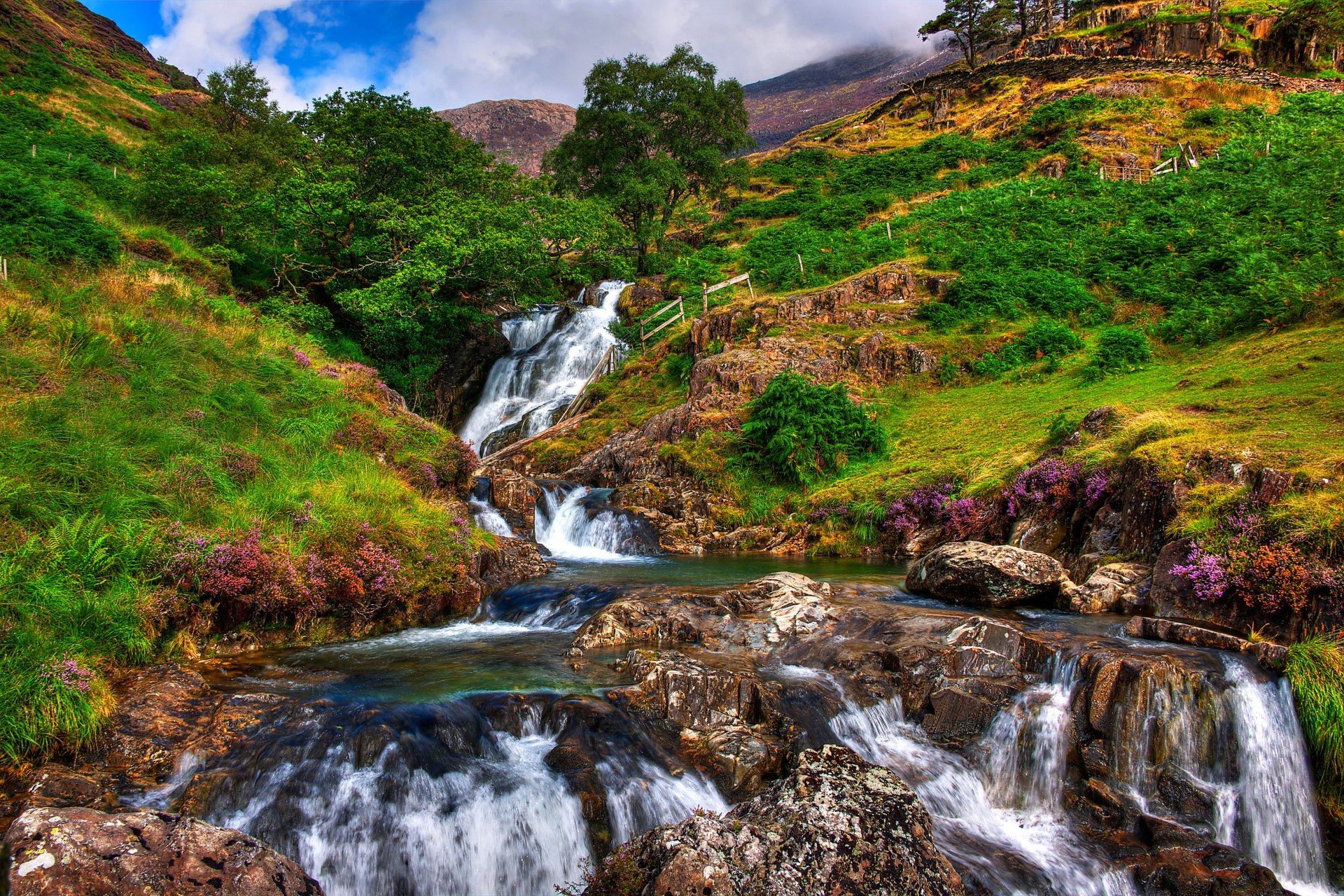 gb snowdonia sky clouds stones river feed rock tree mountain grass flower landscape