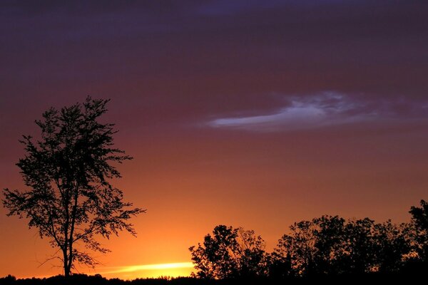 Cloudy sky on the horizon