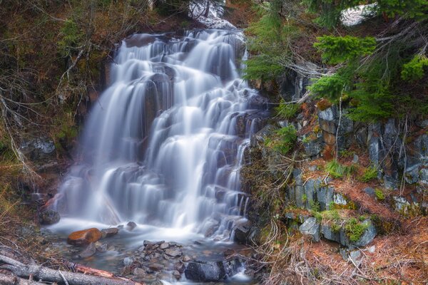 Wasserfall im Herbst in Nadelgebieten mit Steinen