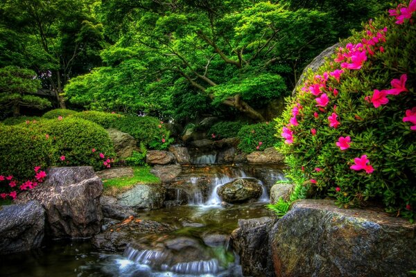 Blumenfieria im Park mit Wasserfall