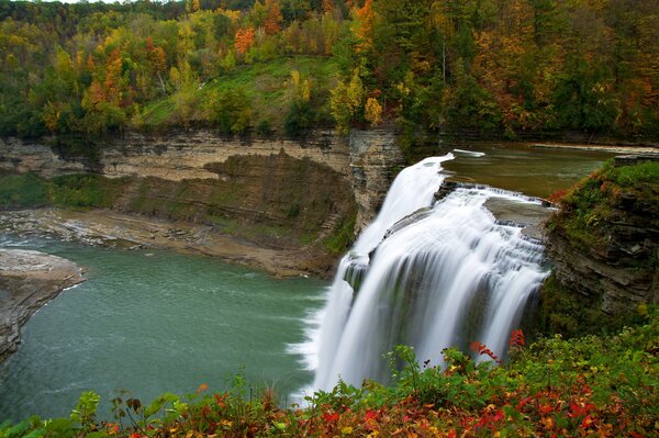 Waterfall in the autumn forest and flowers