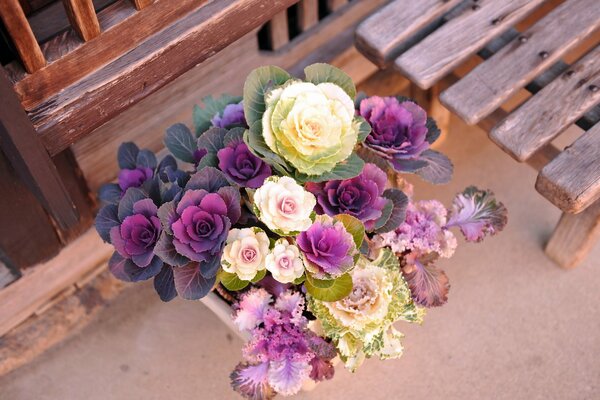 Beautiful bouquet of cauliflower