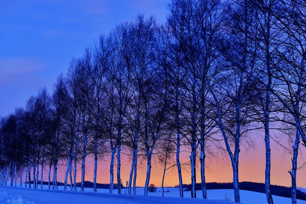 Strada innevata. Tramonto e cielo